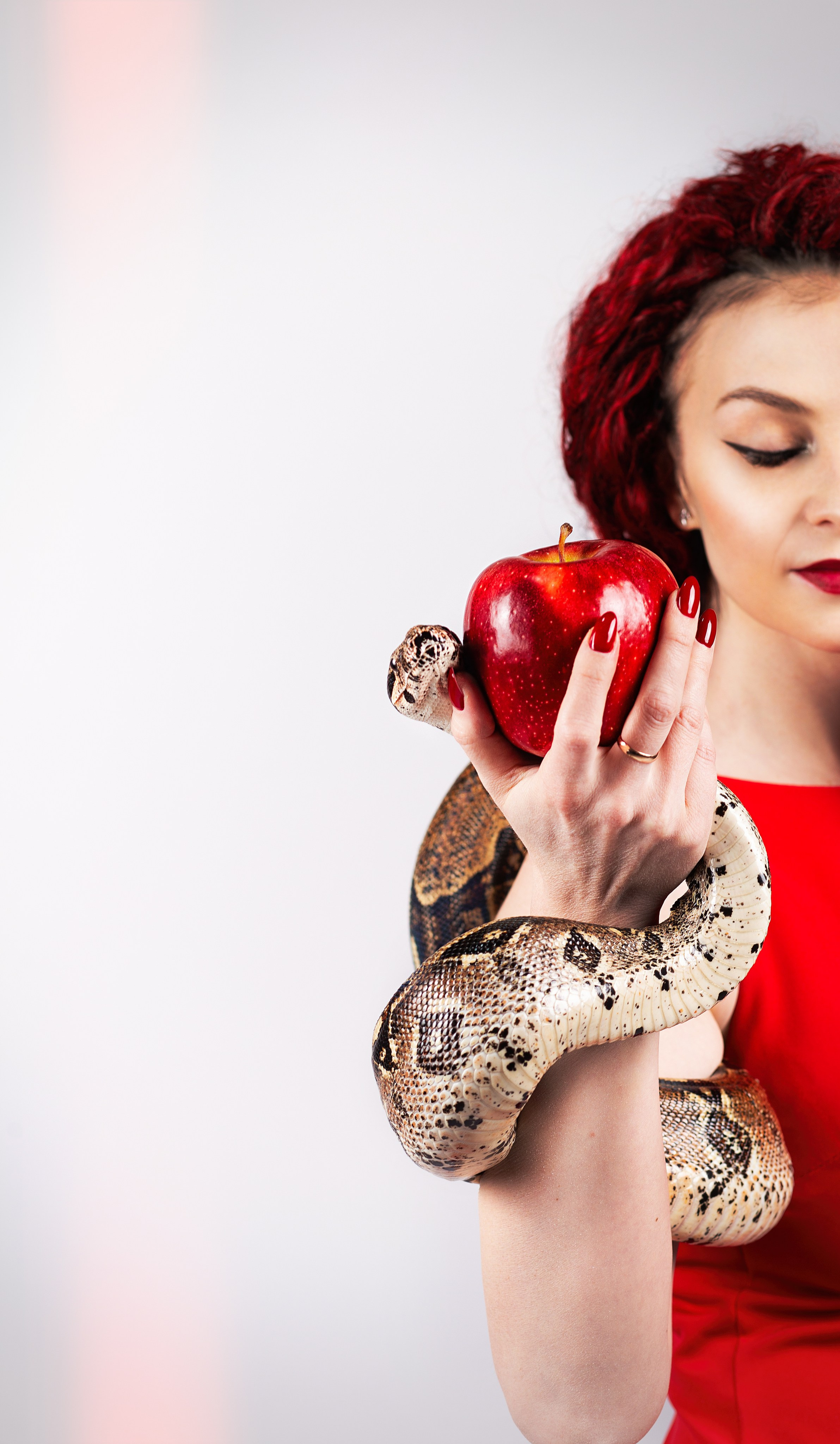 АРЕНДА УДАВА. Фотограф Тамара Нижельская Воронеж