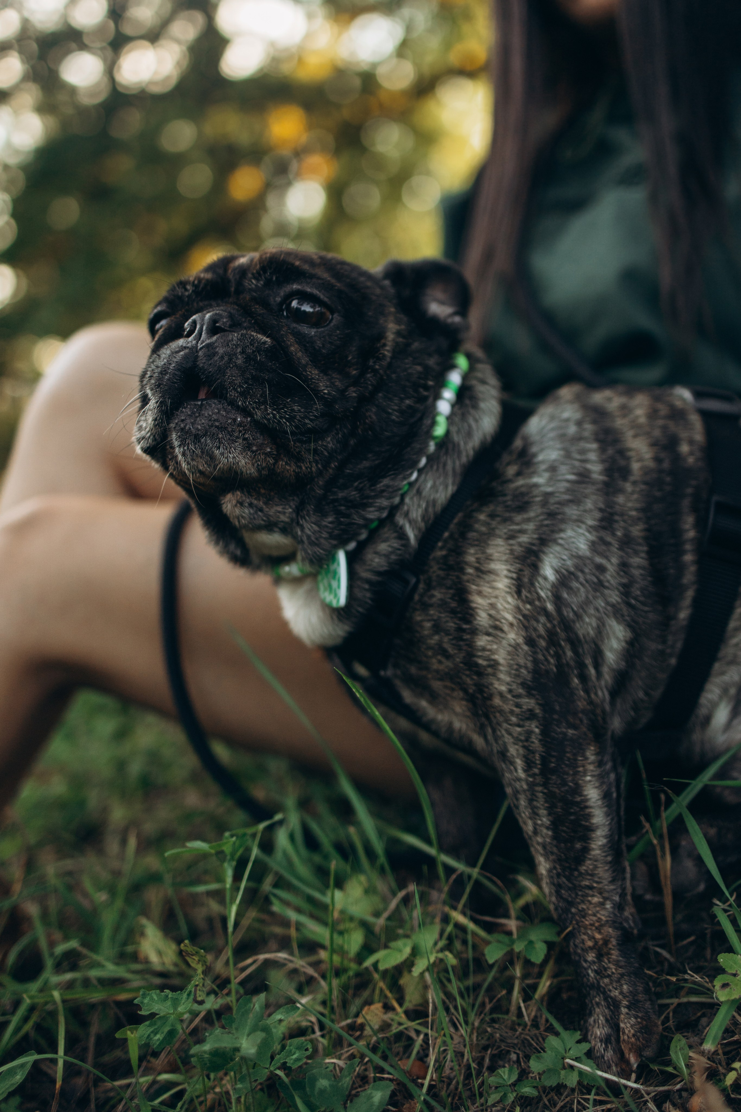Олеся и Луи. Фотограф — Анималист | Санкт-Петербург