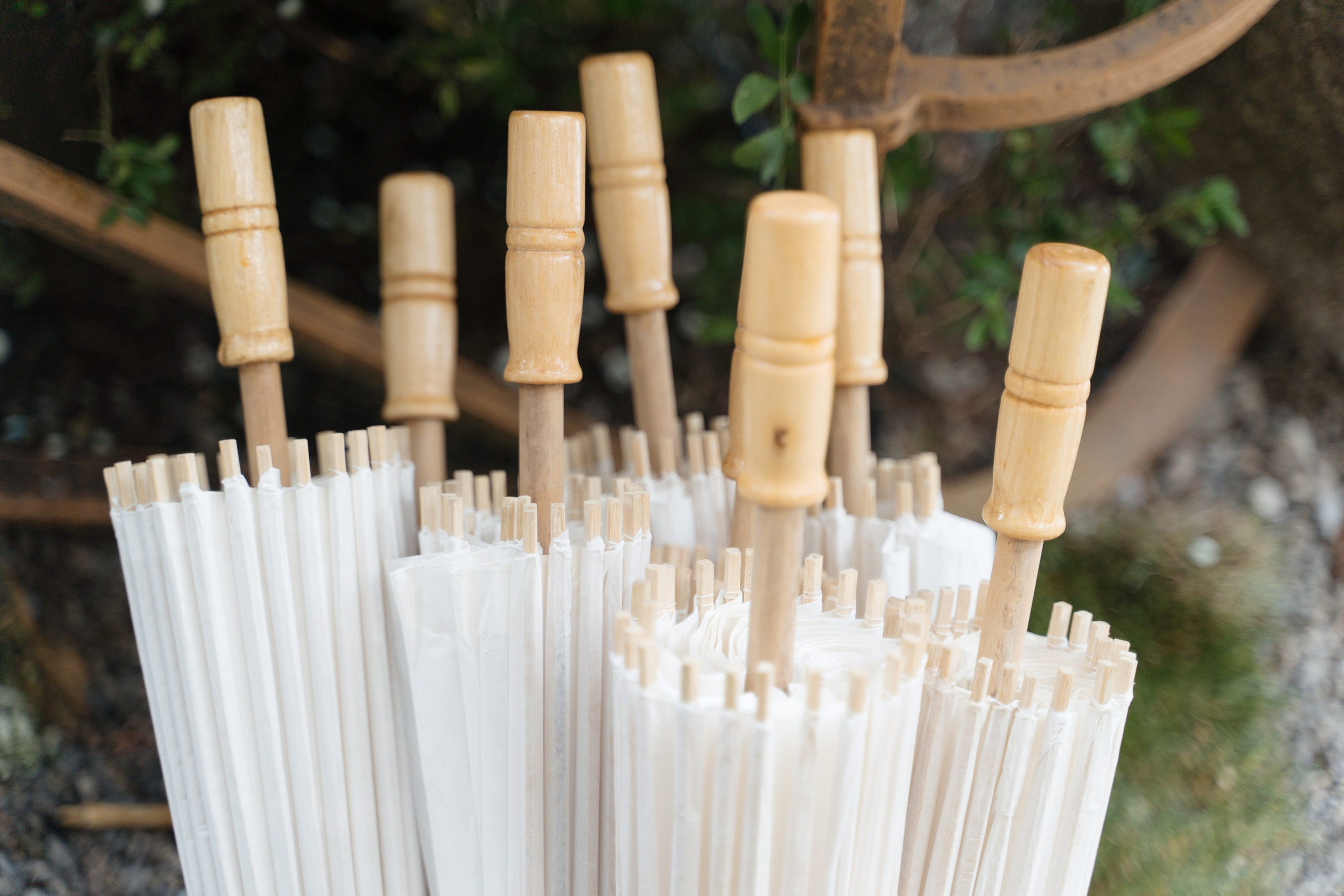 Villa Pizzo. Valeria Coconova Photographer Italy Como Milan