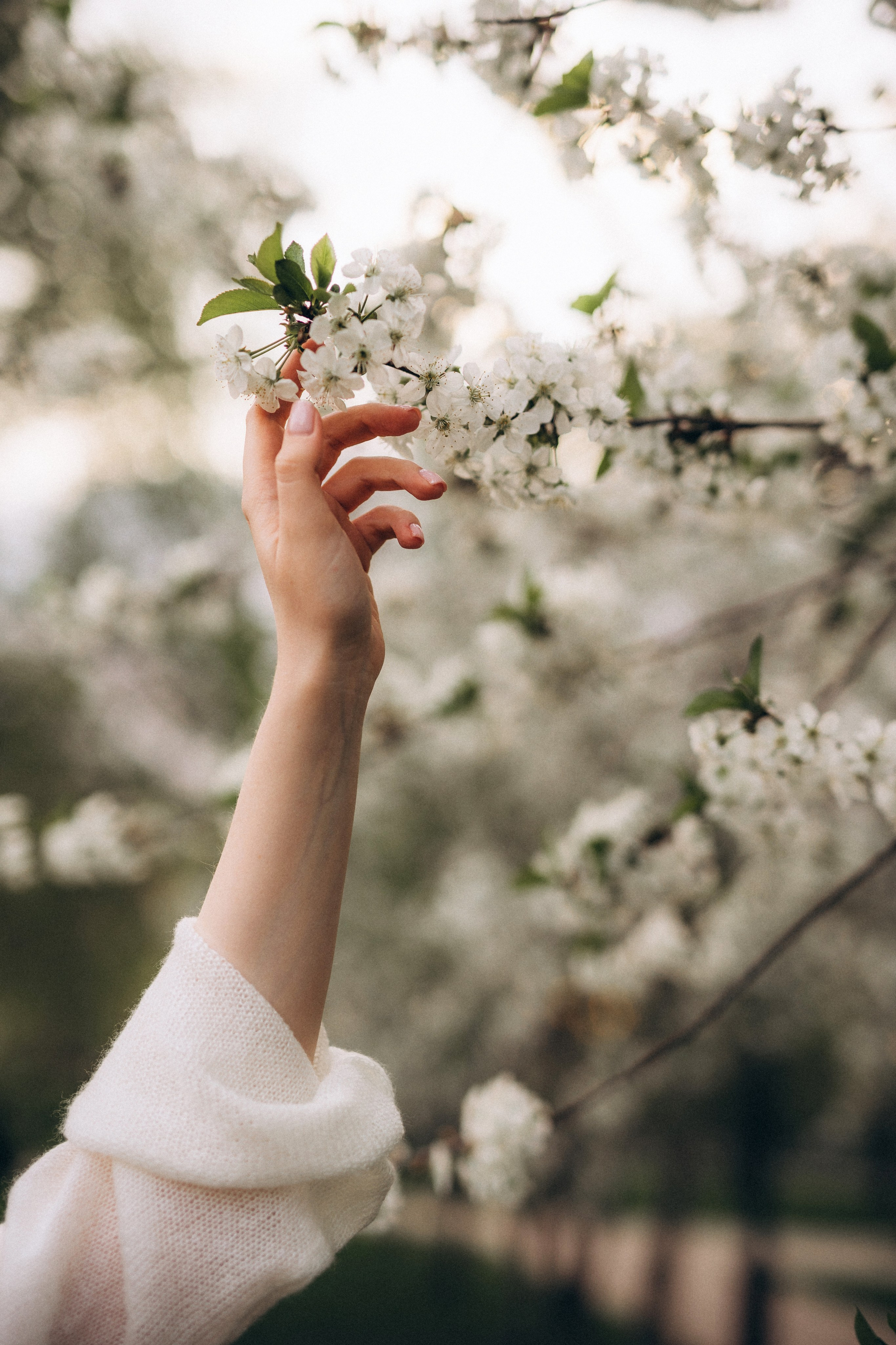 Лиса. Алёна Хомич. Свадебный и семейный фотограф Коломна, Москва