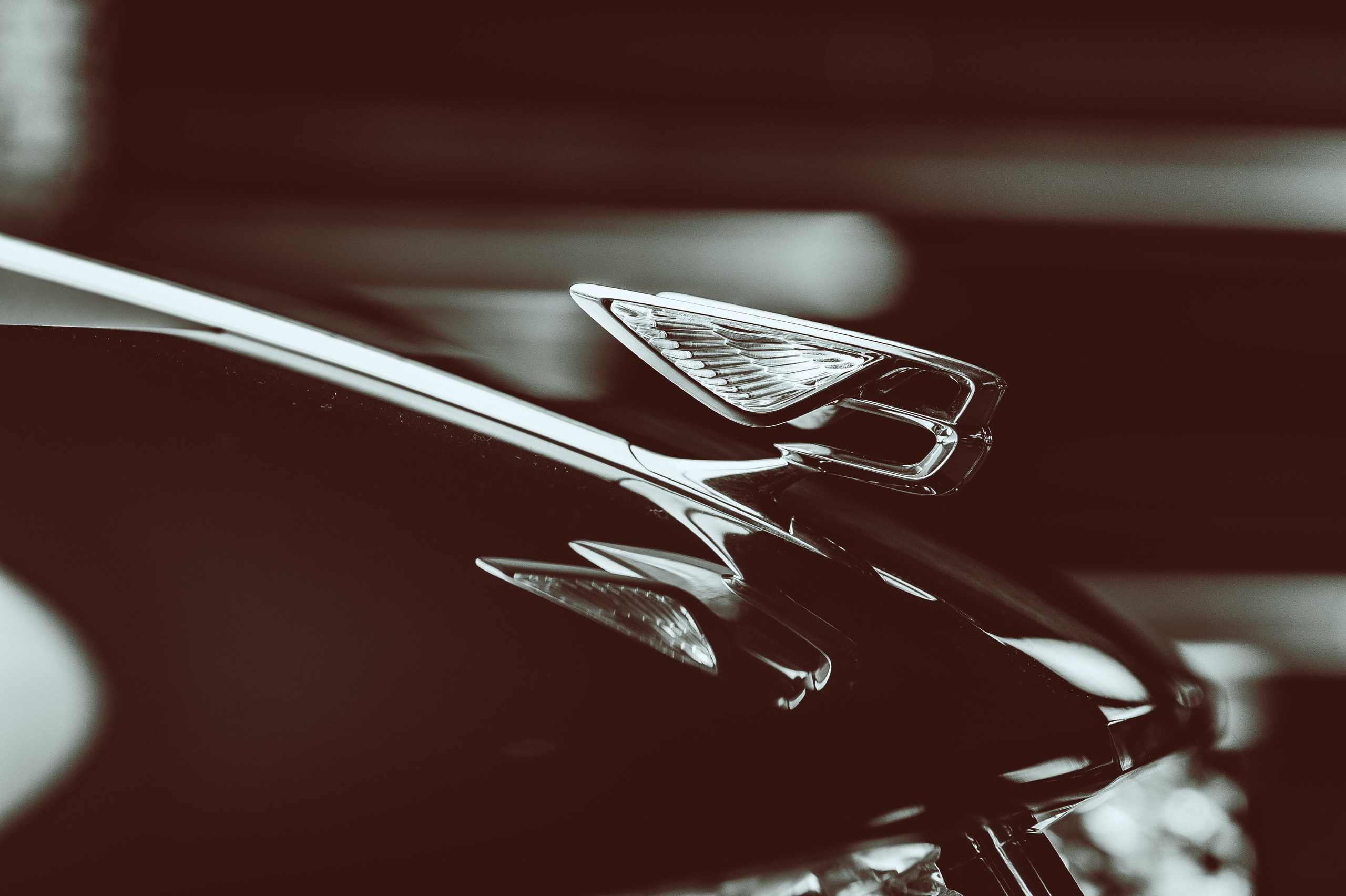Премьера Bentley100EXP, Кру Великобритания. Репортажный фотограф Андрей Бузин