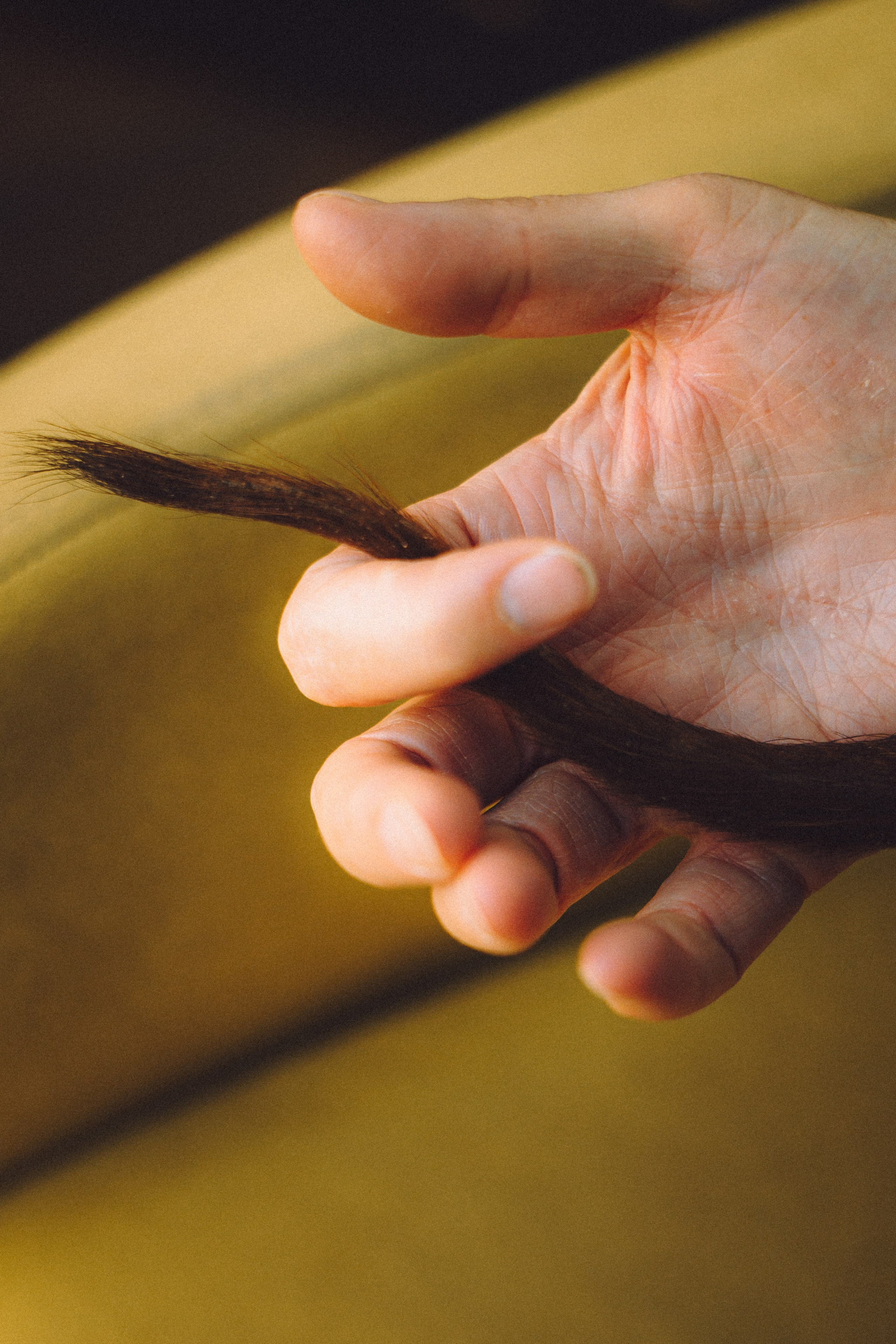 Кокос, Света, Динара и Вилли