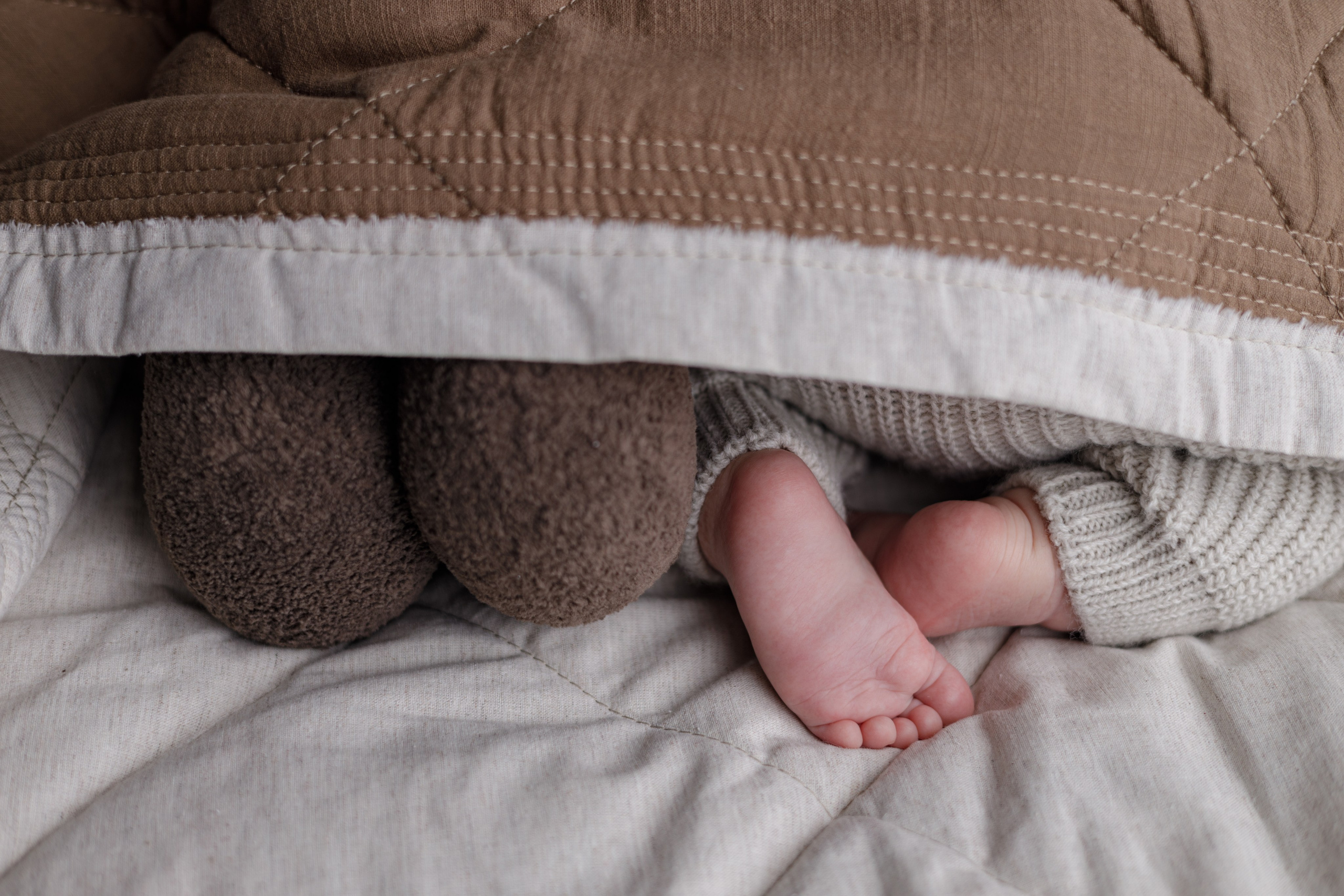 Арсений. Евгения Горбунова фотограф новорожденных в Новом Уренгое