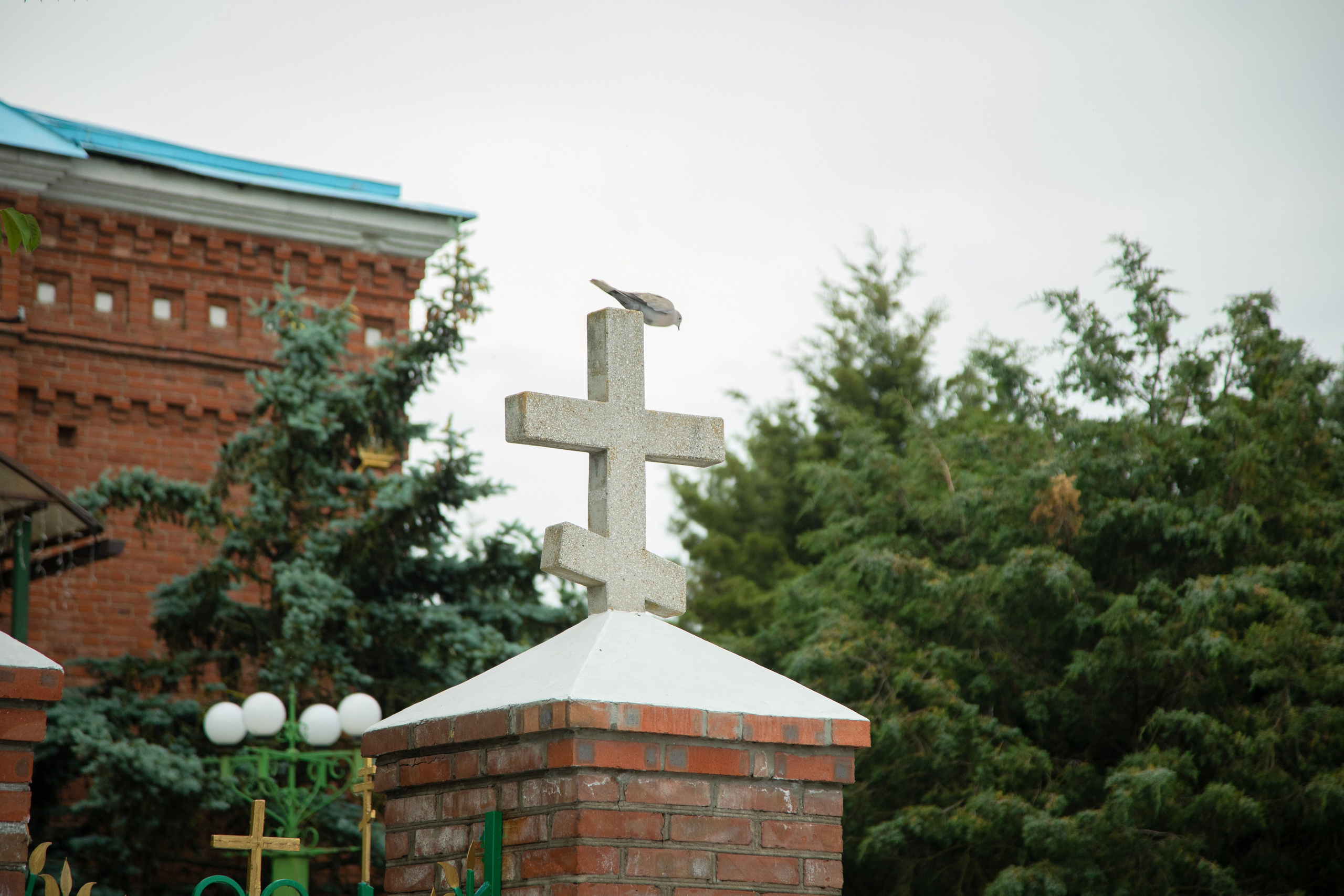 Венчание. Анна Рышкевич