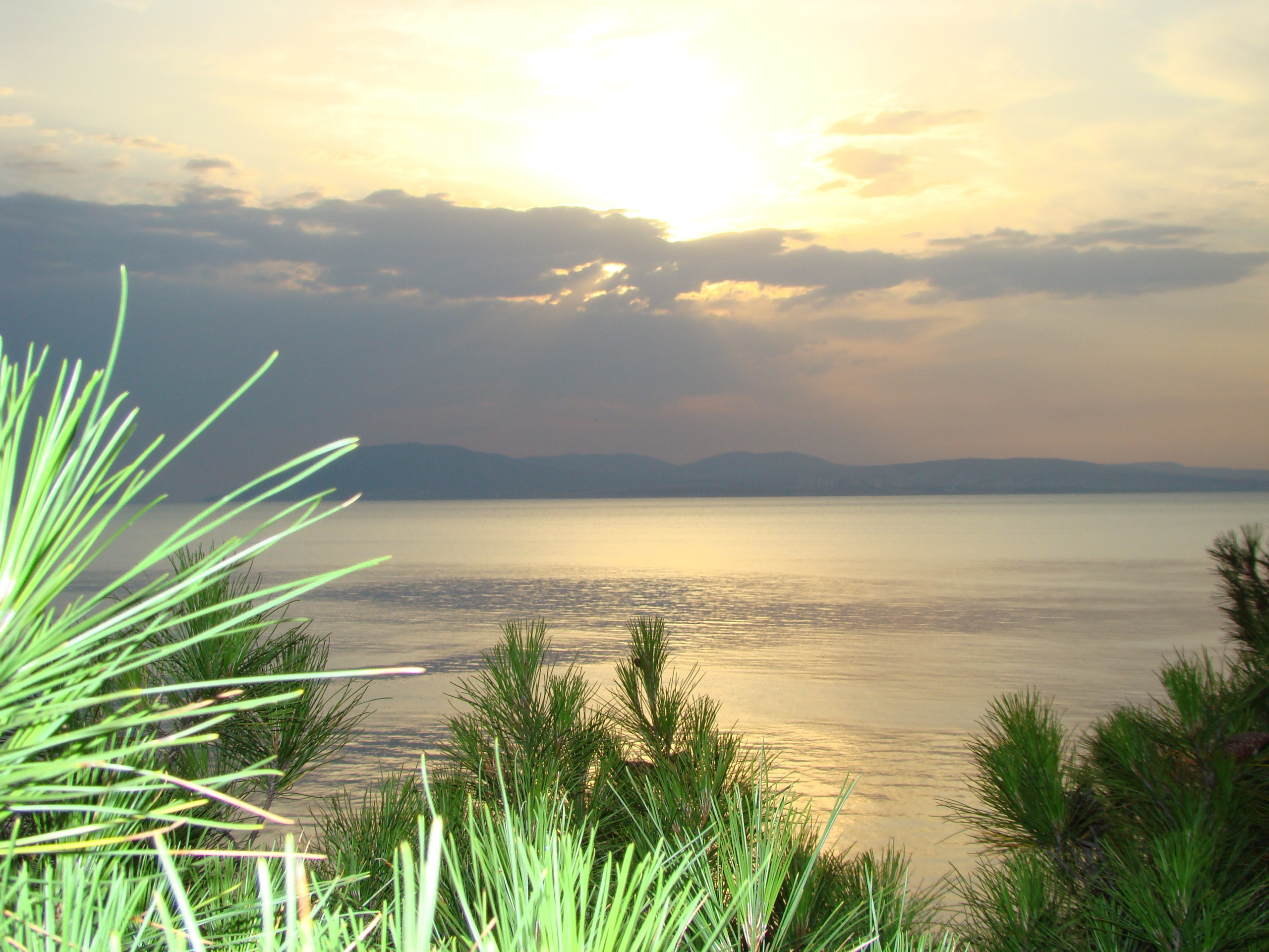 Кабардинка (фото Зевиных) 25.06-24.07.2008. Семейный, Свадебный фотограф СПБ Питер— Романова Екатерина