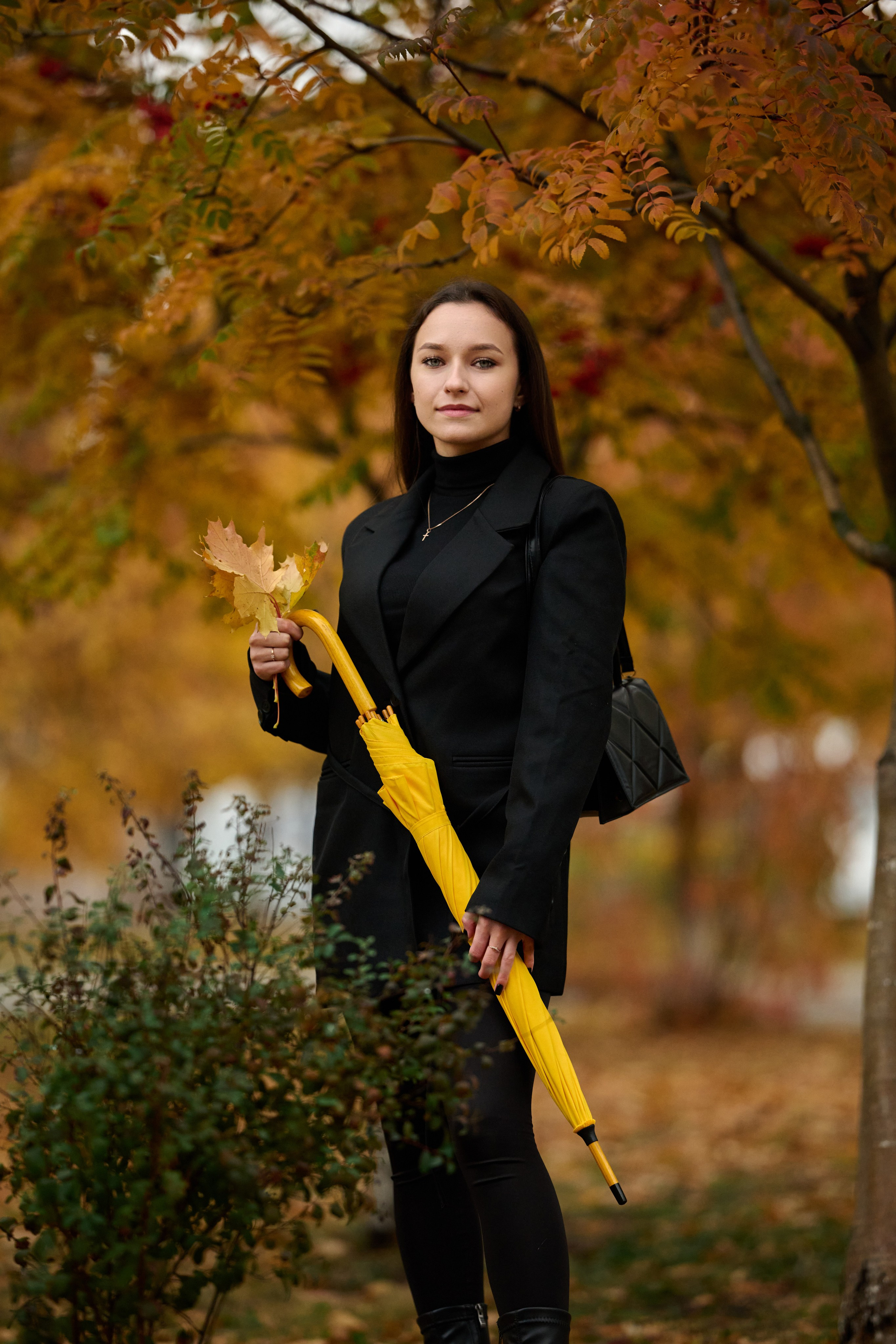 Золотая осень в Старом Осколе