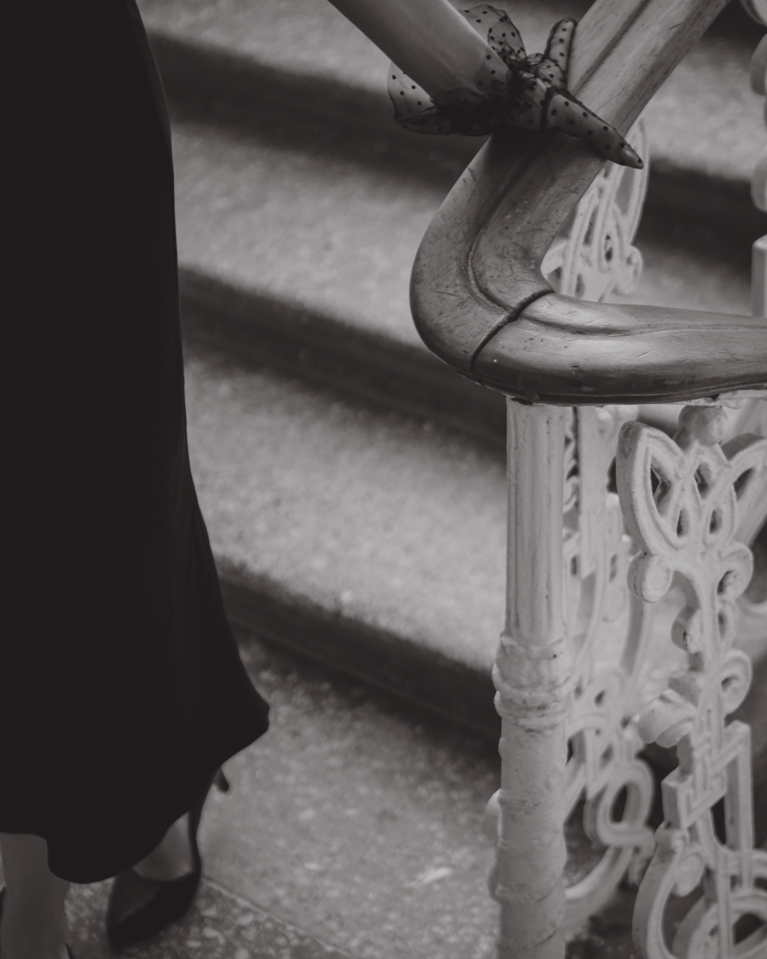 Дарья. Портфолио