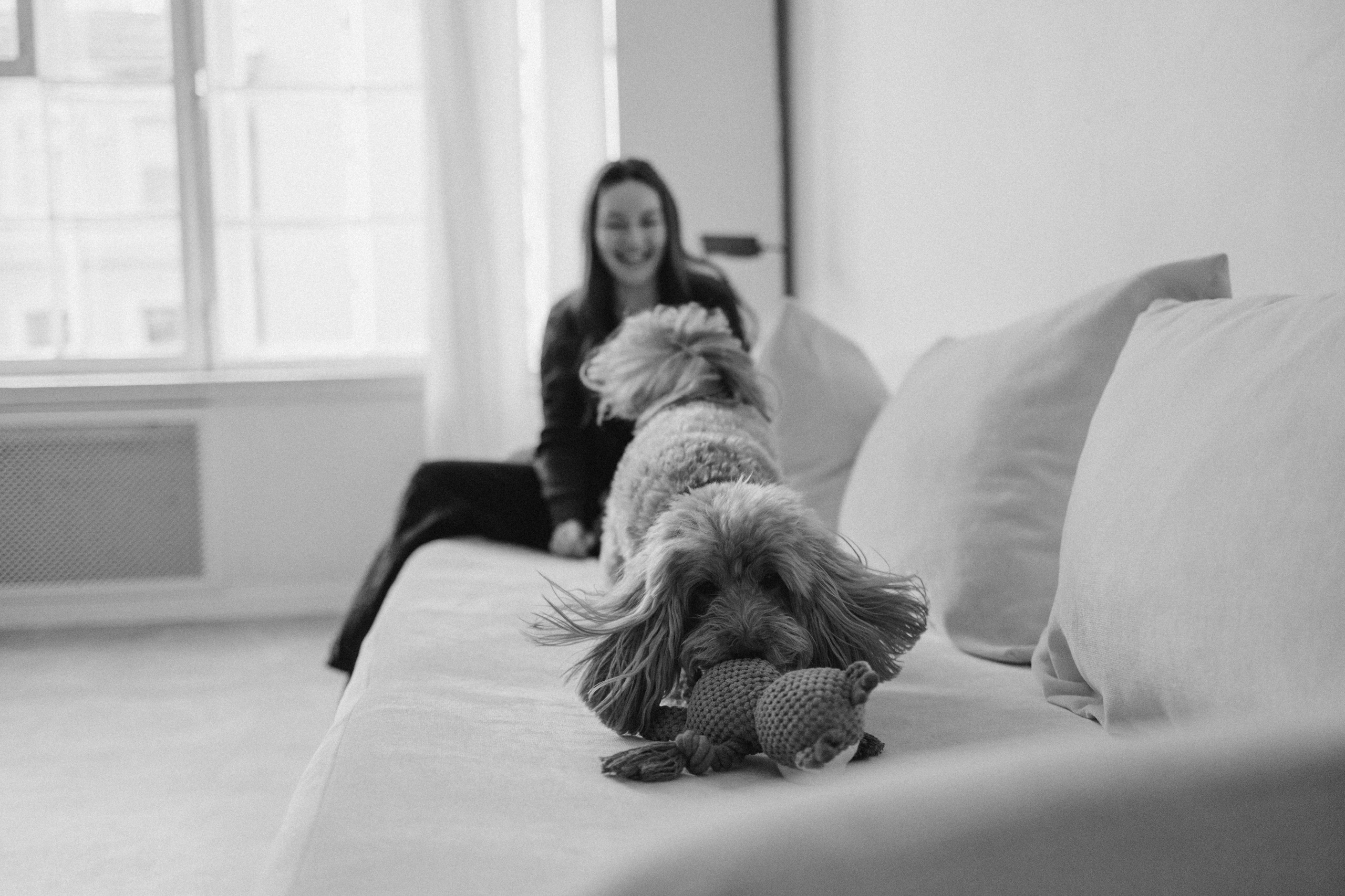 Шкипер и его семья. Фотограф — Анималист | Санкт-Петербург