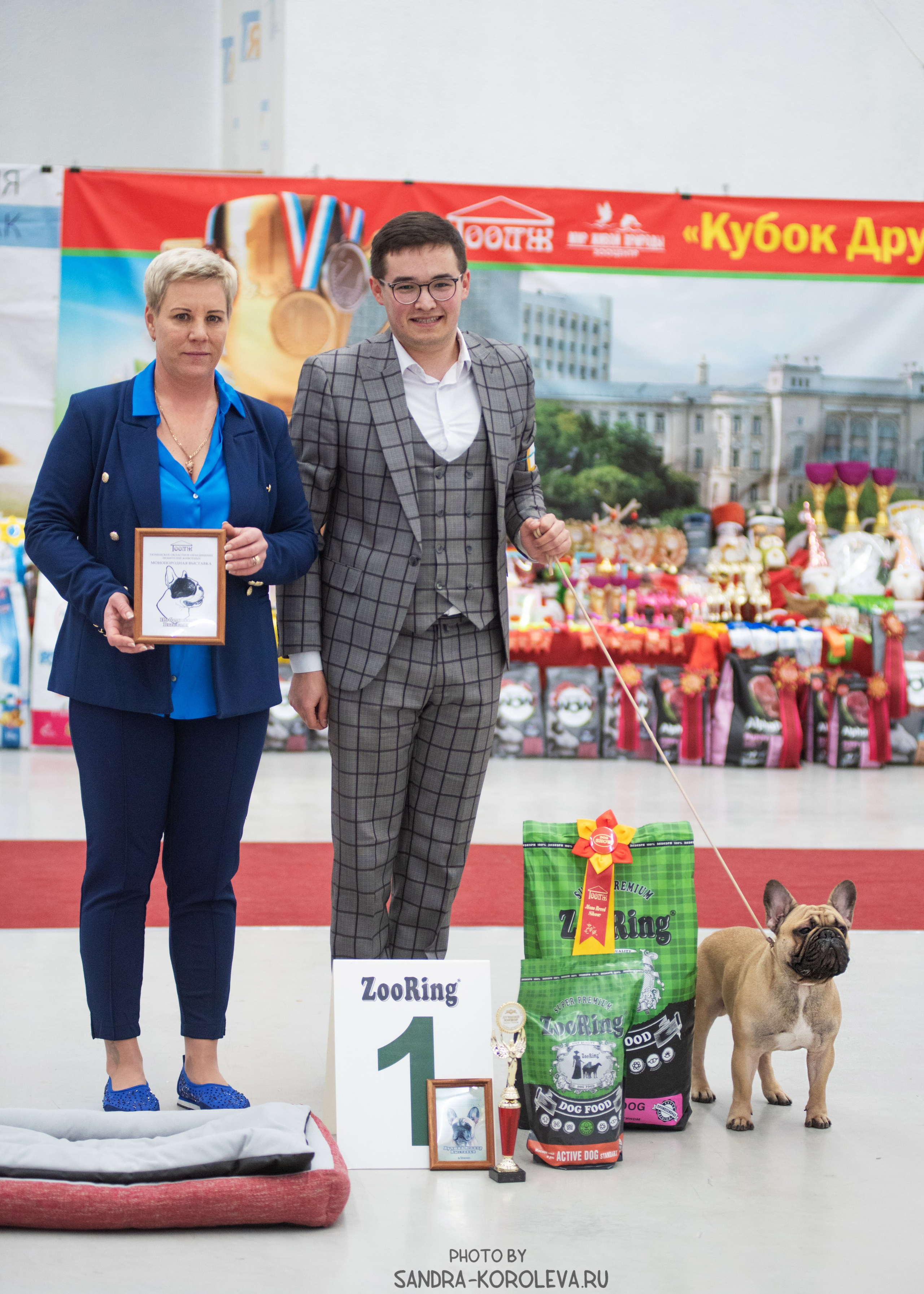 Выставка собак тюмень 10.12.2022. Дог-фотограф в Тюмени Александра Королева