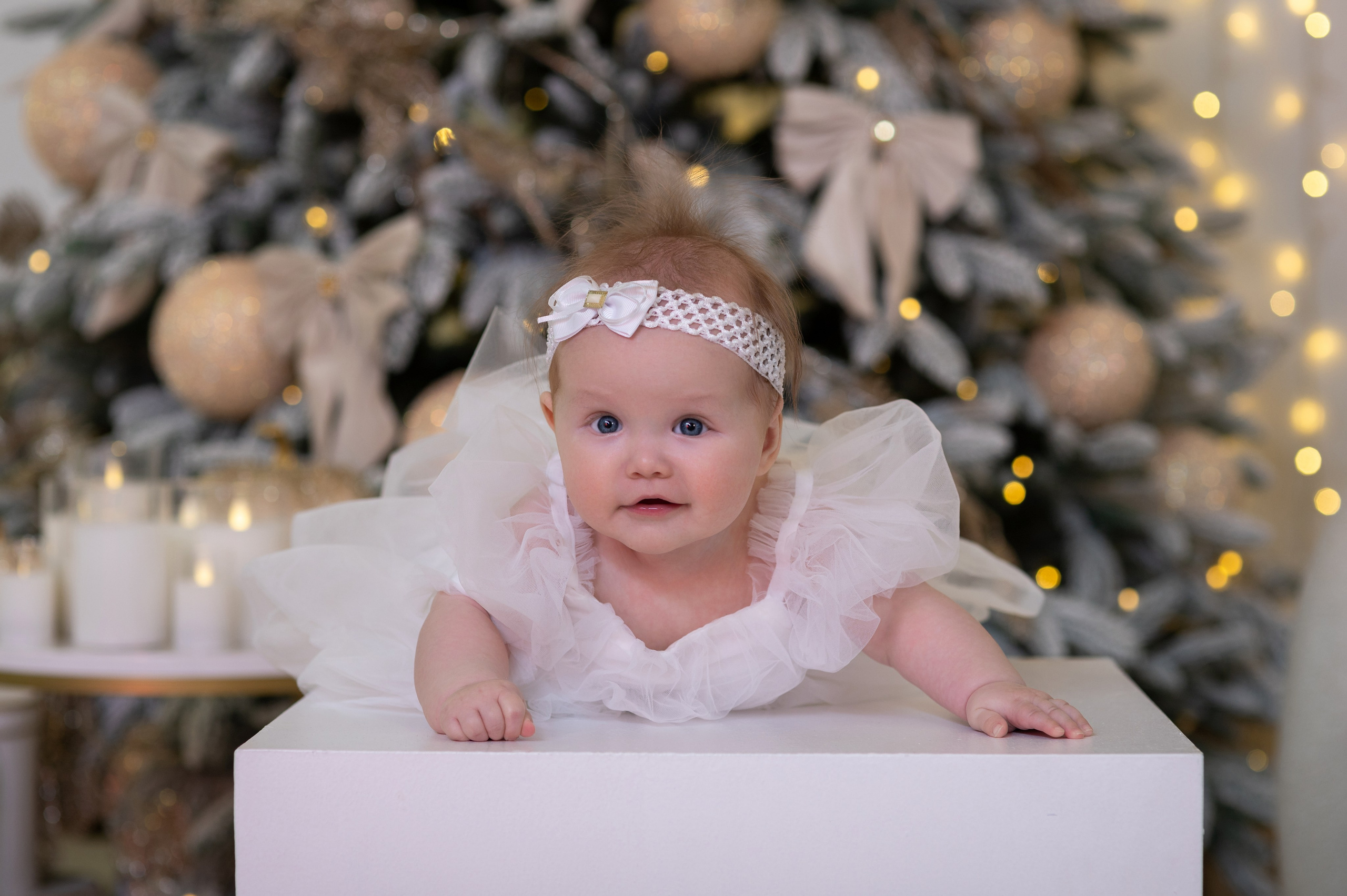 Новогодняя фотосессия. Семейный и детский фотограф Подольск Наталья Шаляпина