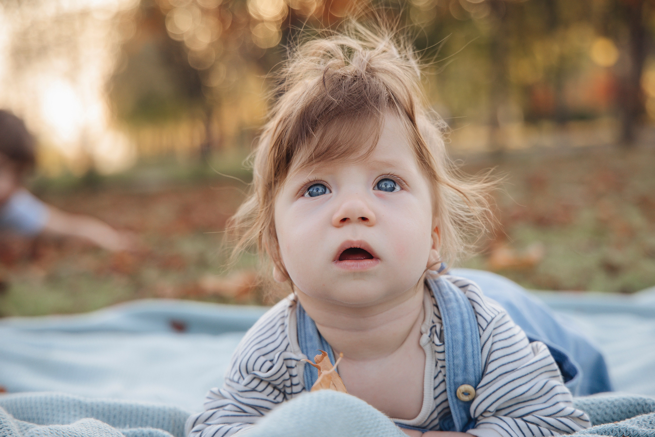 Наша теплая осень. Фотограф Новосибирск