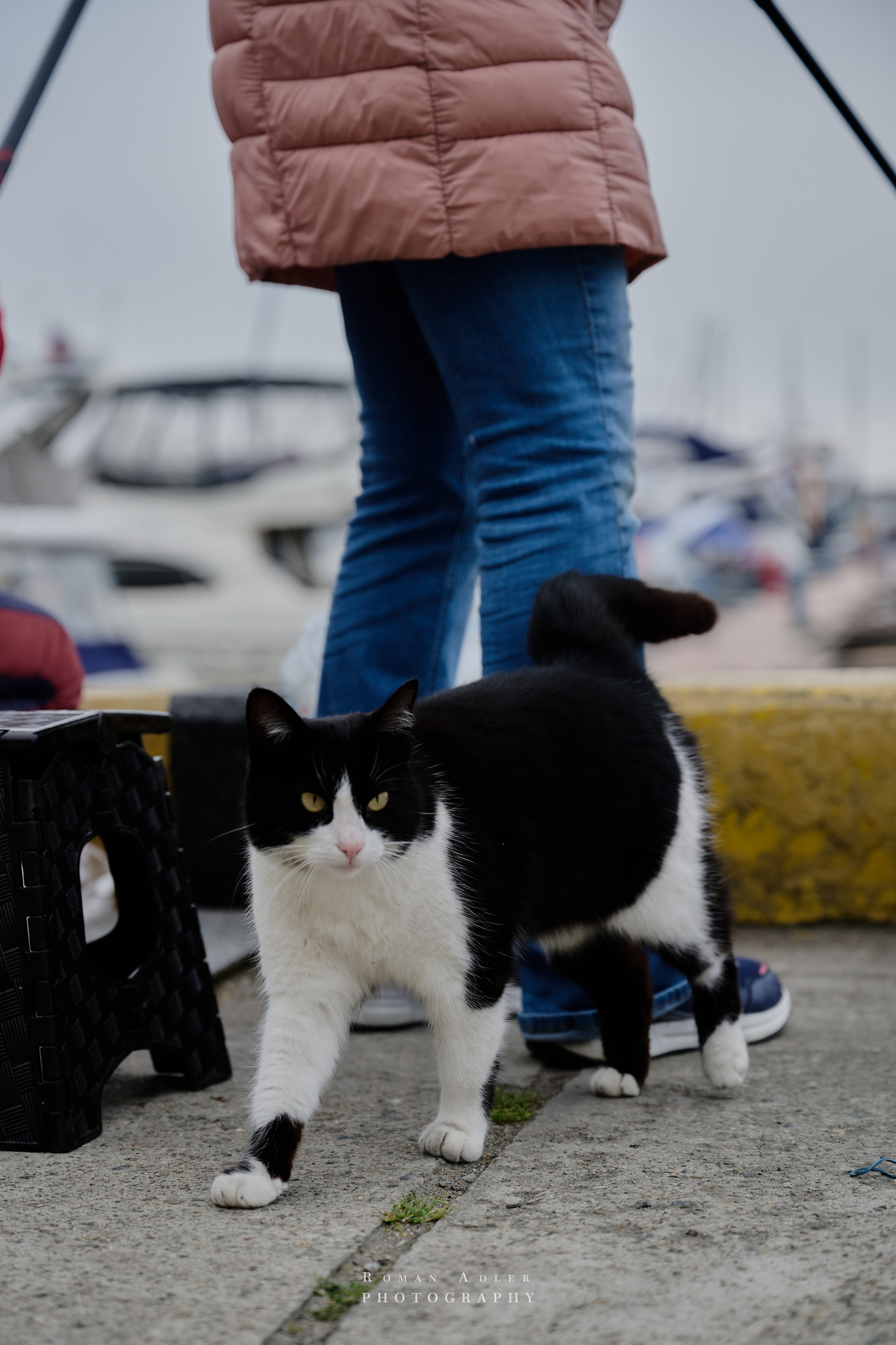 Сочи. Апрель 2025. Фотограф Роман Адлер