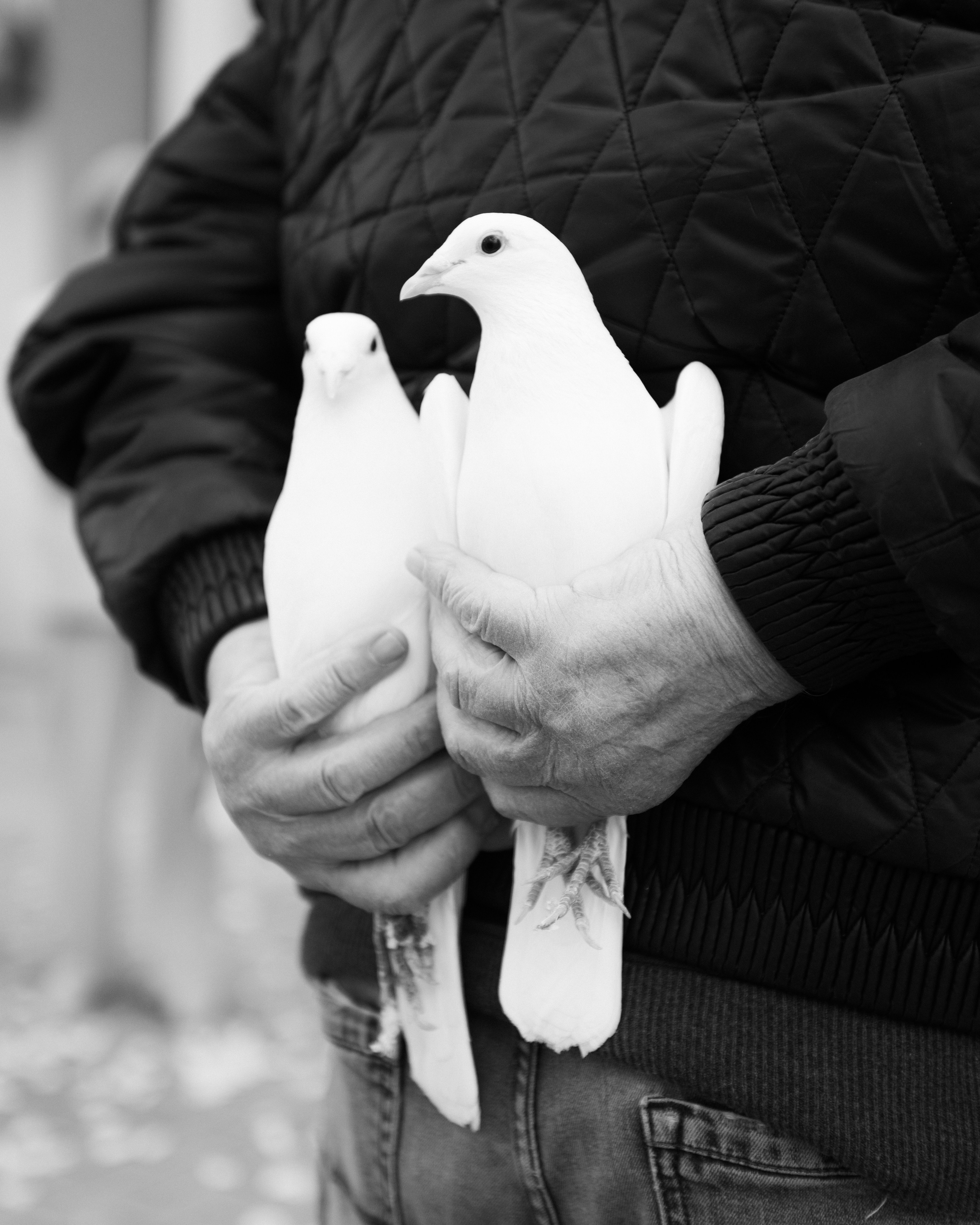 Mini СВАДЬБА. ДИНА МИХНЕВА спортивный фотограф Москва