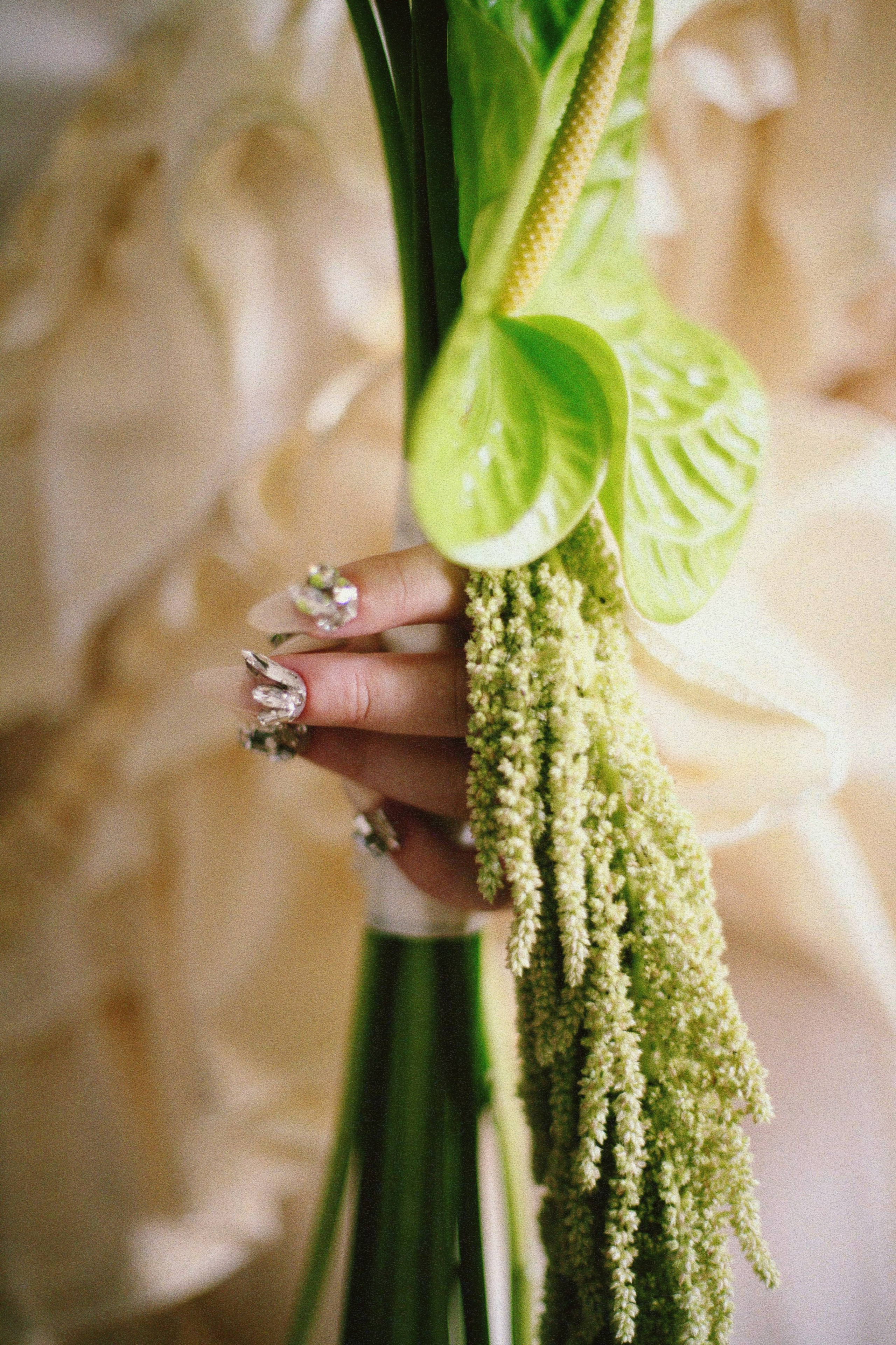 Аня и Кирилл (роспись). Фотограф Екатерина Максимова: семейные, индивидуальные съемки, свадьбы