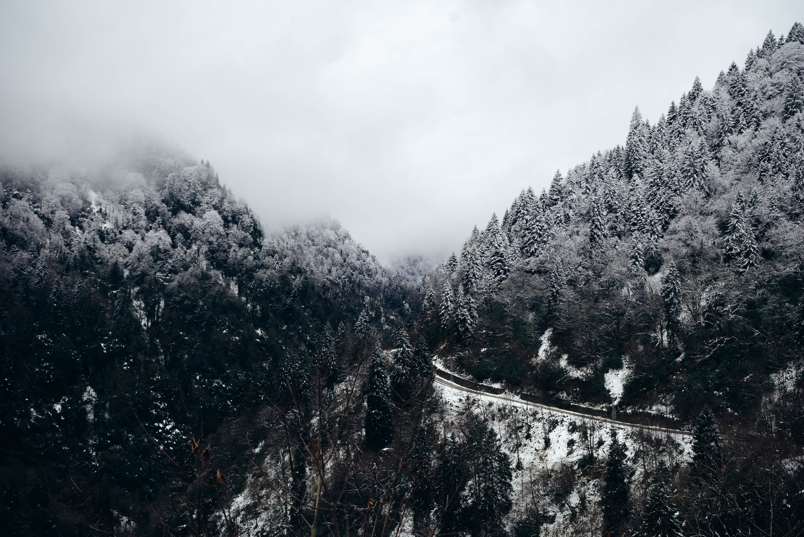 Ризе. Анна Лобанова | фотограф