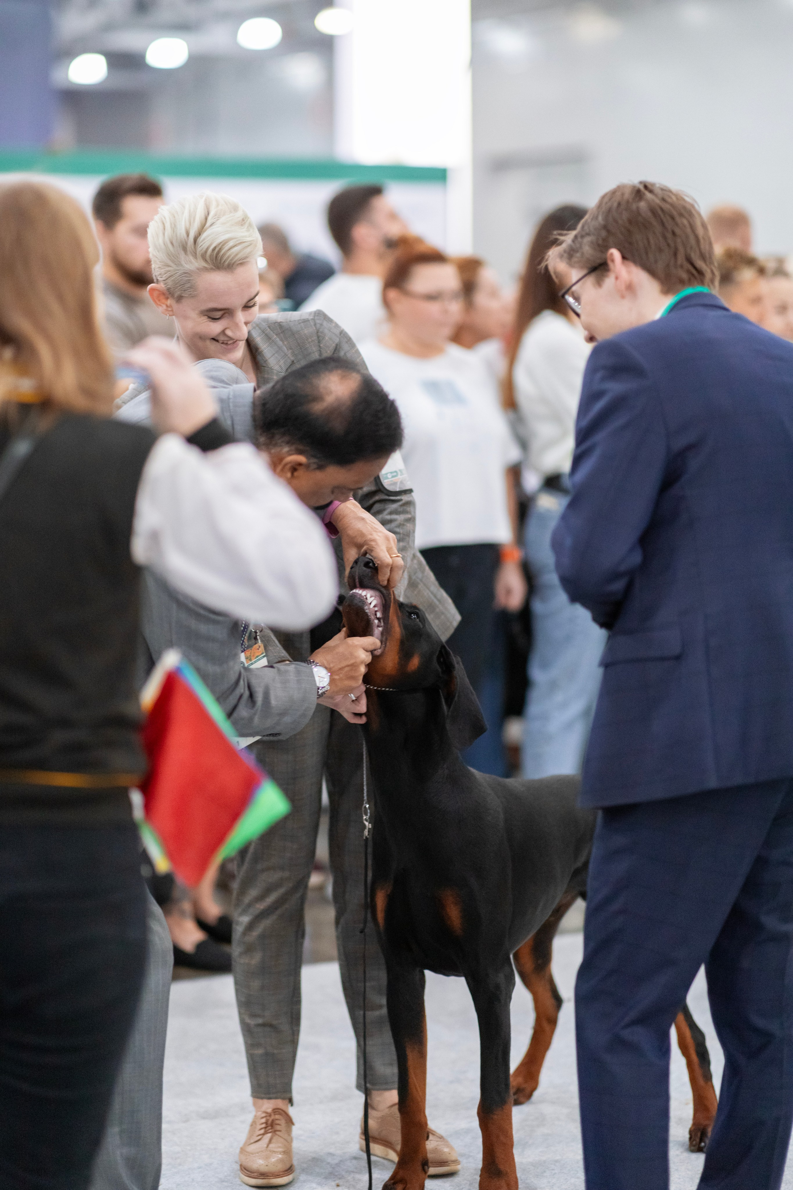 Евразия. Фотограф — анималист Татьяна Ли