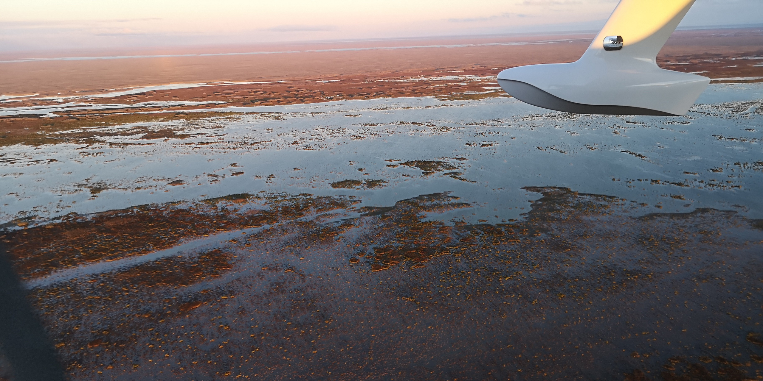 Каспийское море (наука на Ла-8) (2021 г.). Фотоальбом показывающий увлекательный мир авиации и мир медведей Андрея Иванова