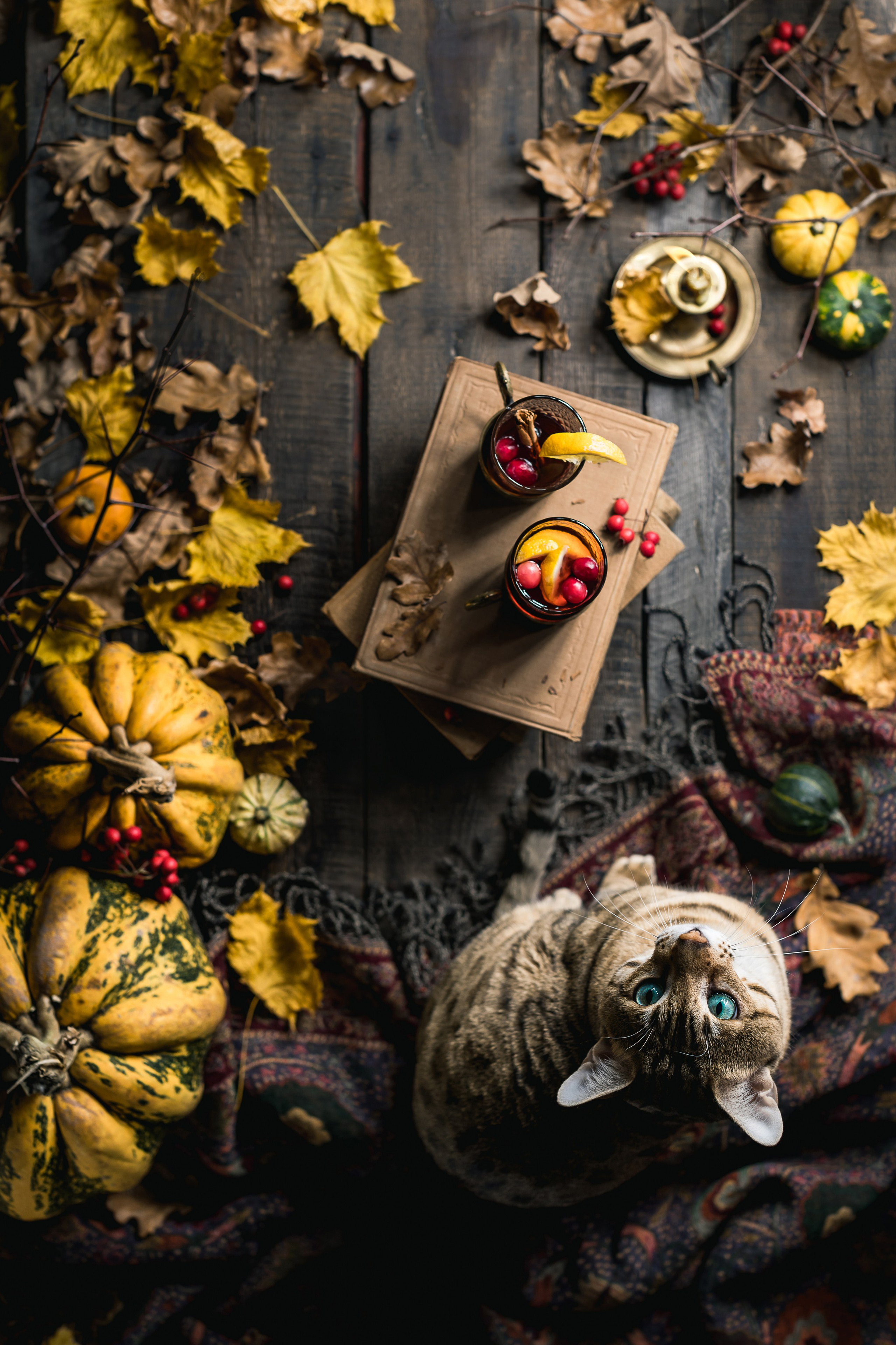 Pumpkins stillife & Halloween. Foodie Stories (гастрономические истории) рекламная фуд-фотосъёмка, Москва