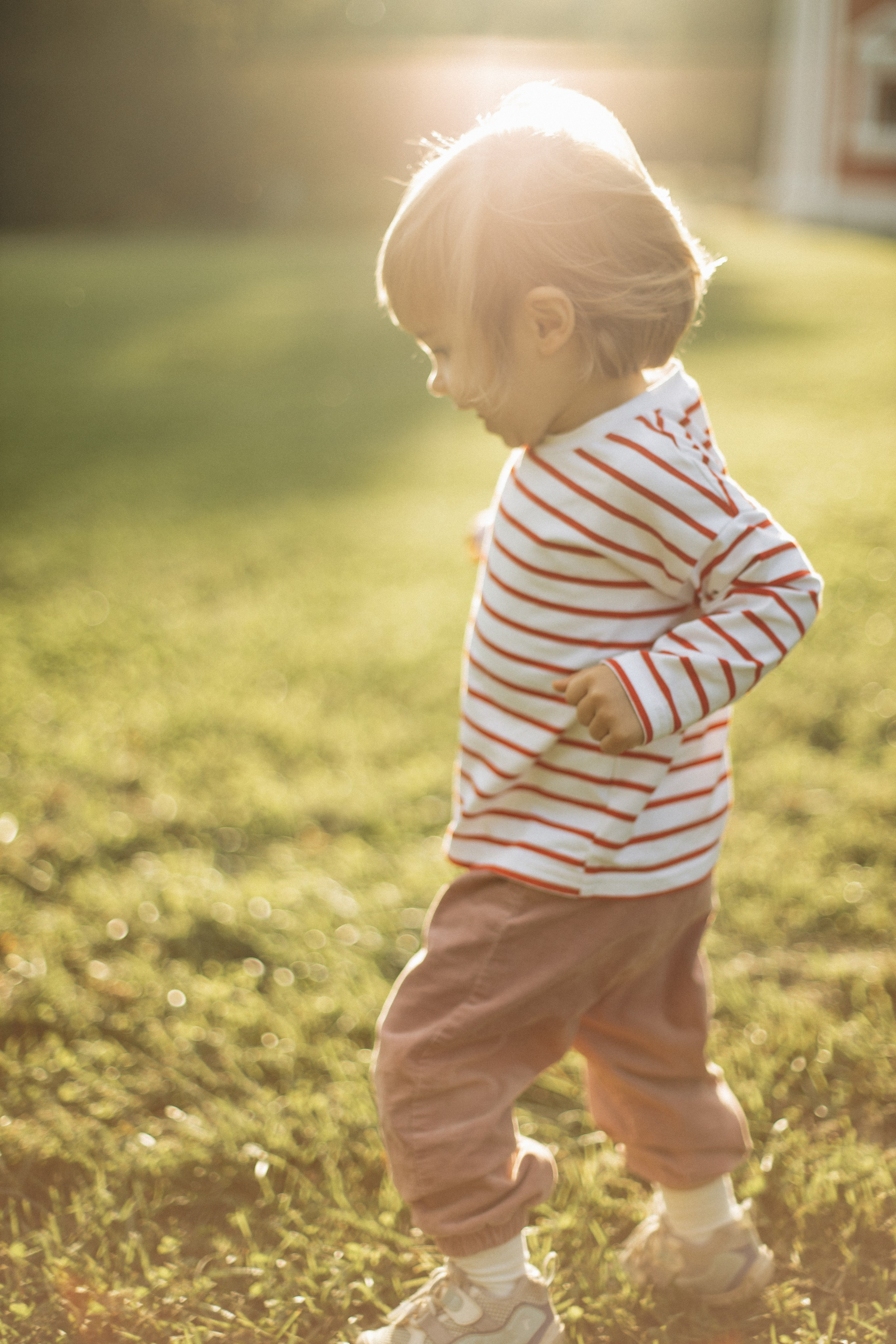Семейная съёмка. Фотограф Анастасия Бобылева, Москва и Московская область