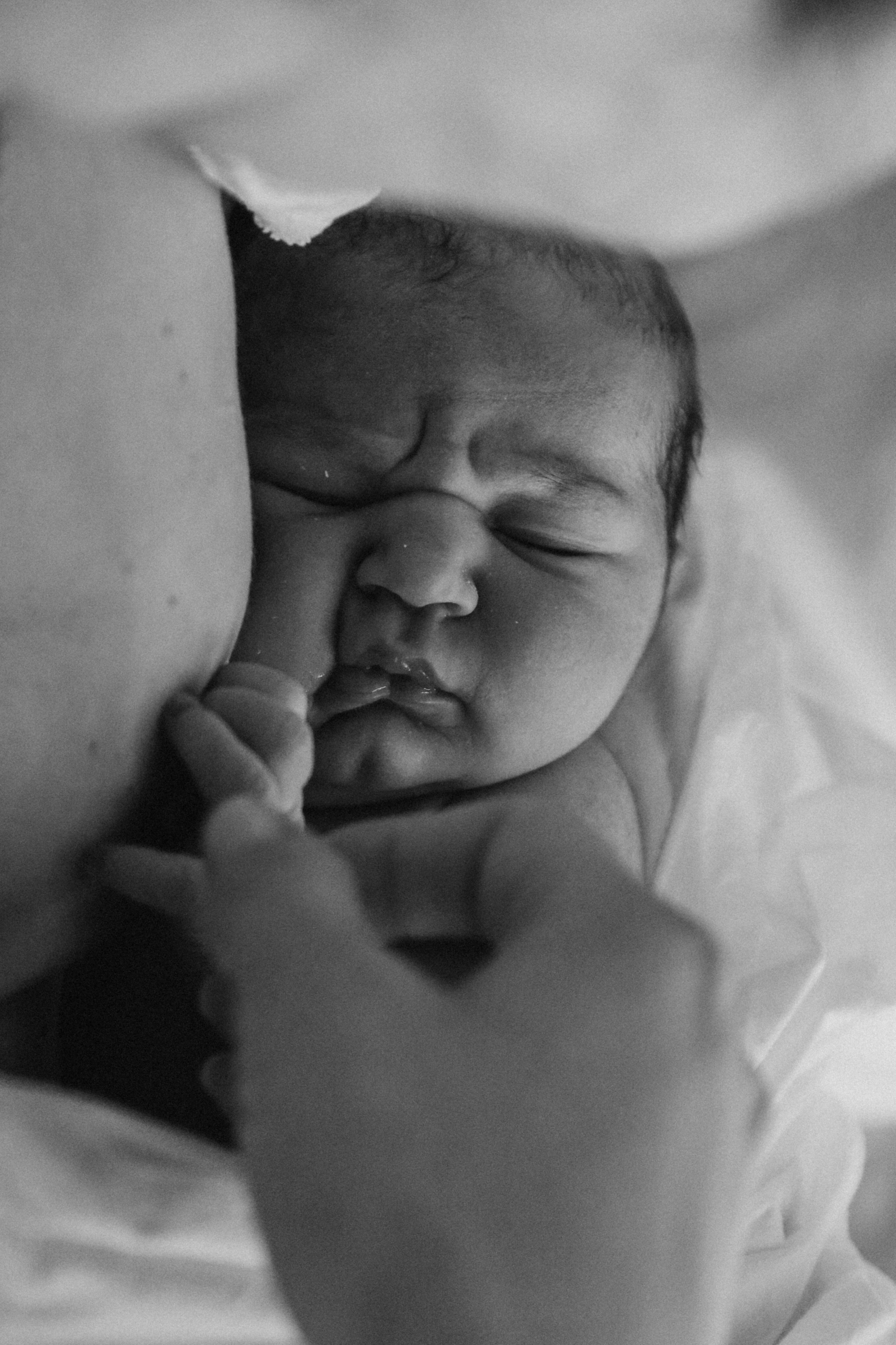 Рождение Василисы 01.06.2022