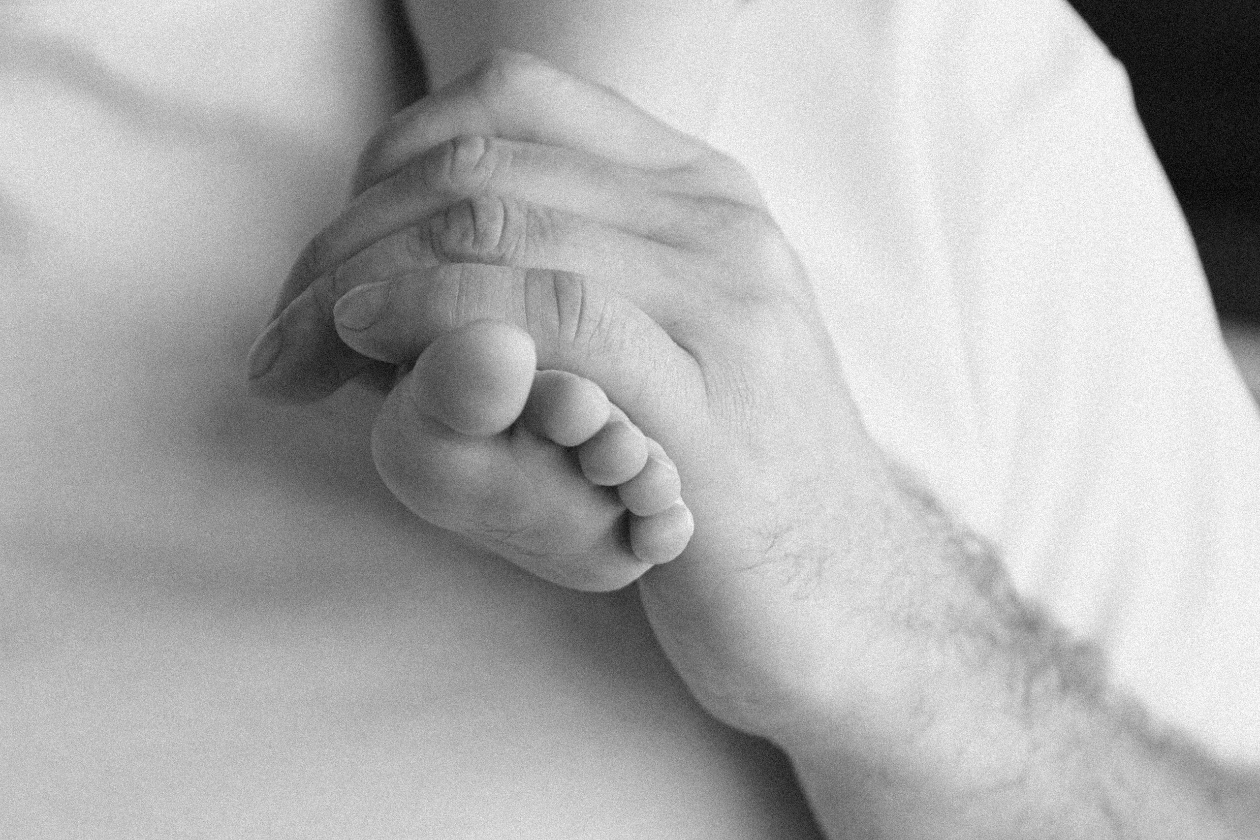 Василиса и Мира🤍. Фотограф на роды в Санкт-Петербурге, семейный, нью-борн Алиса Хрекова