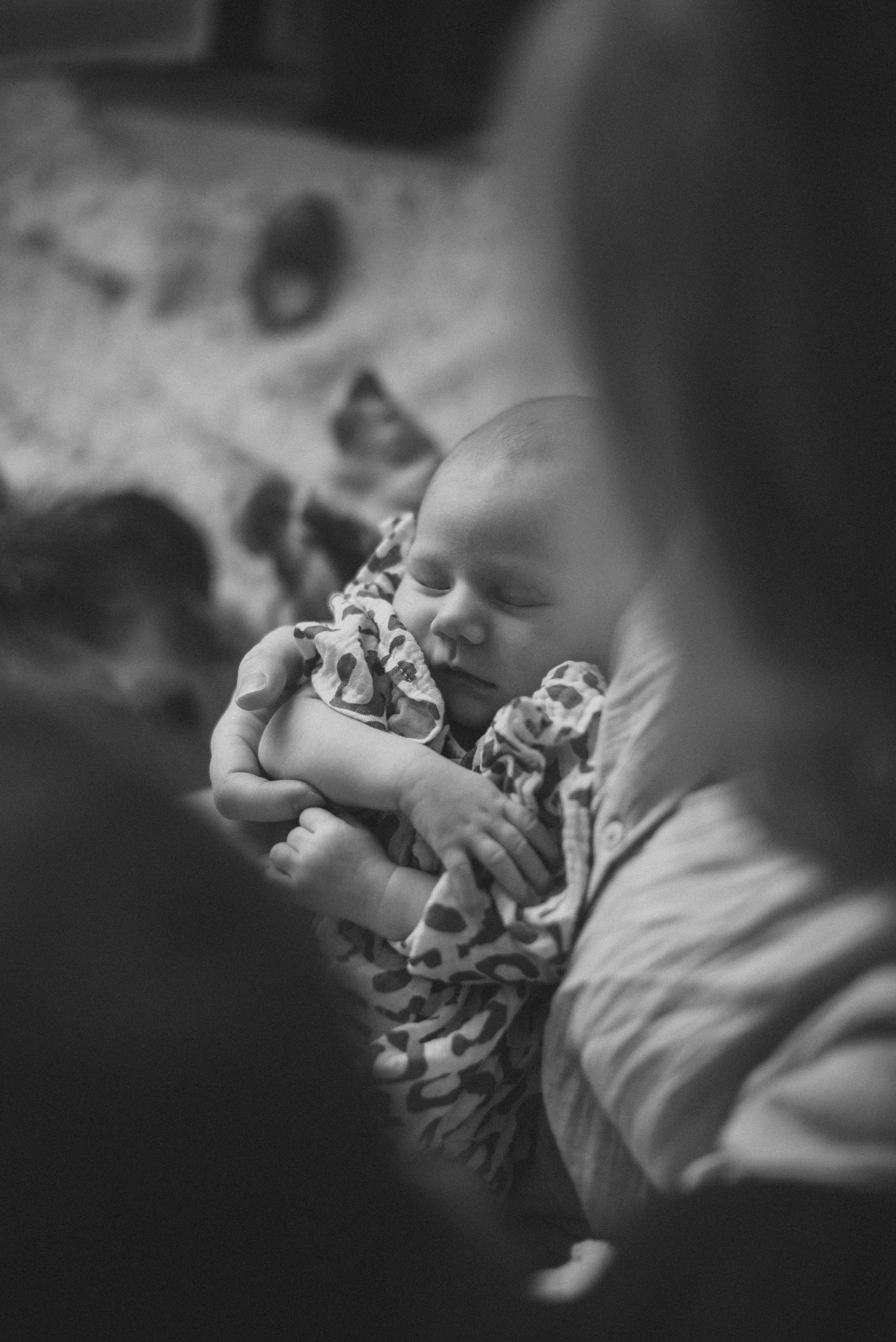 Первый месяц малышки Василисы. Семейный фотограф в г. Ставрополь, Сорокина Мария