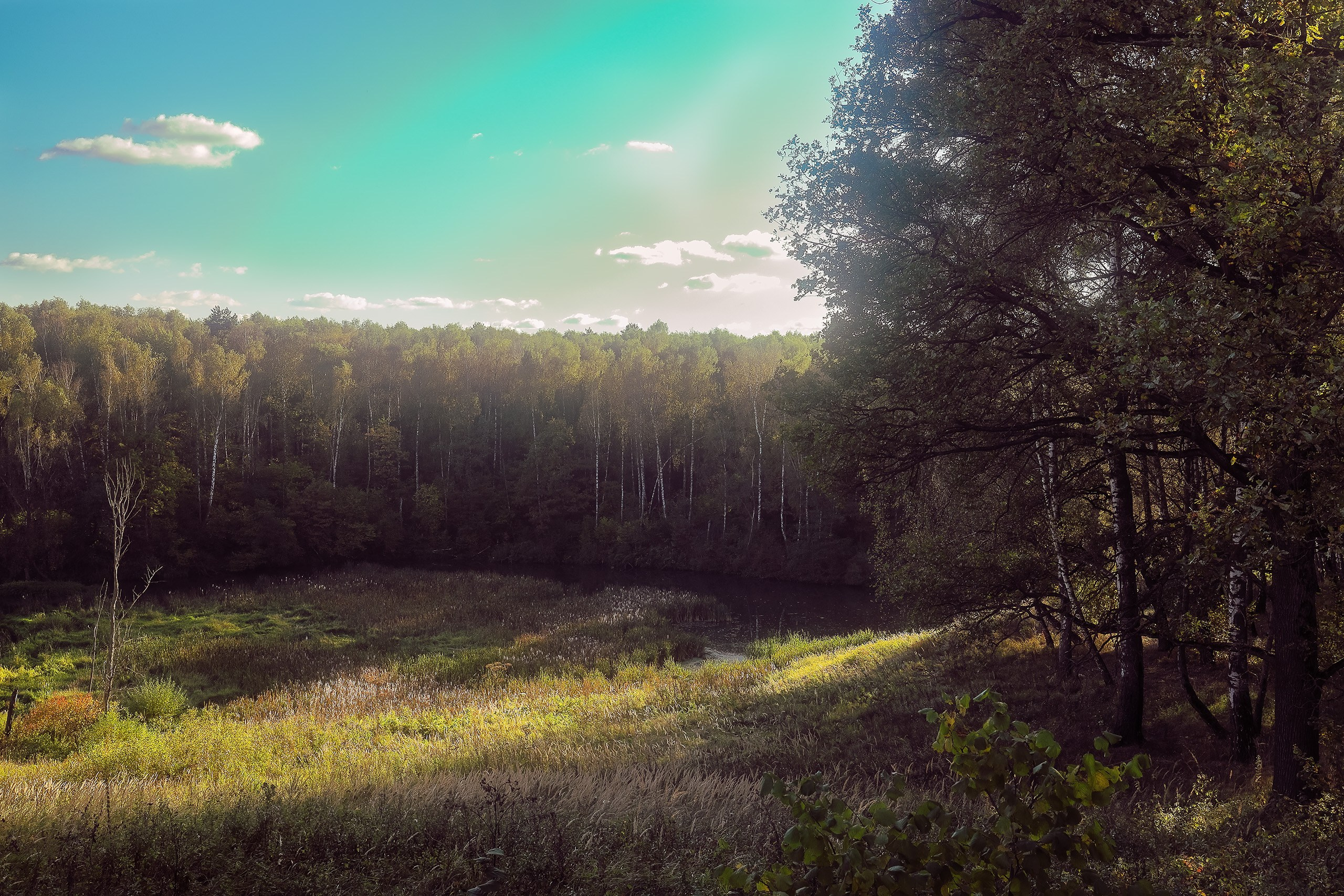 Фото природы