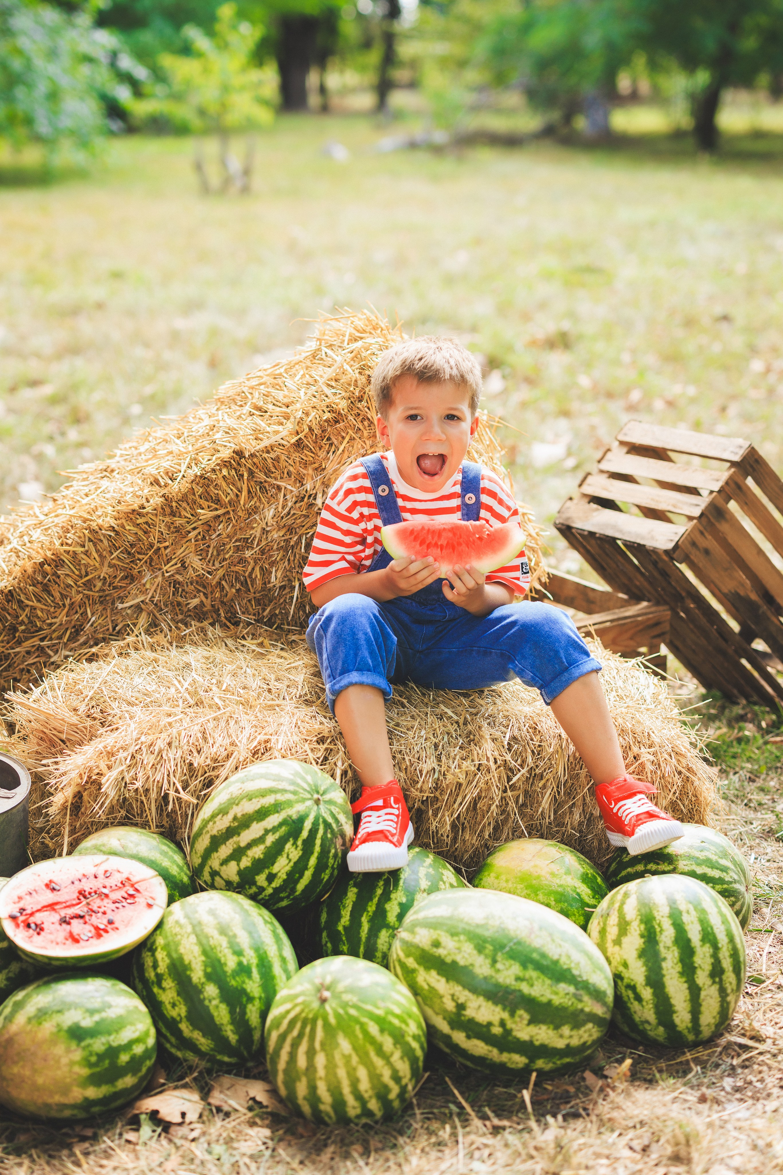 Летняя фотосессия с арбузами и ретро автомобилем. Семейный и детский фотограф в Краснодаре Анна Трашкова