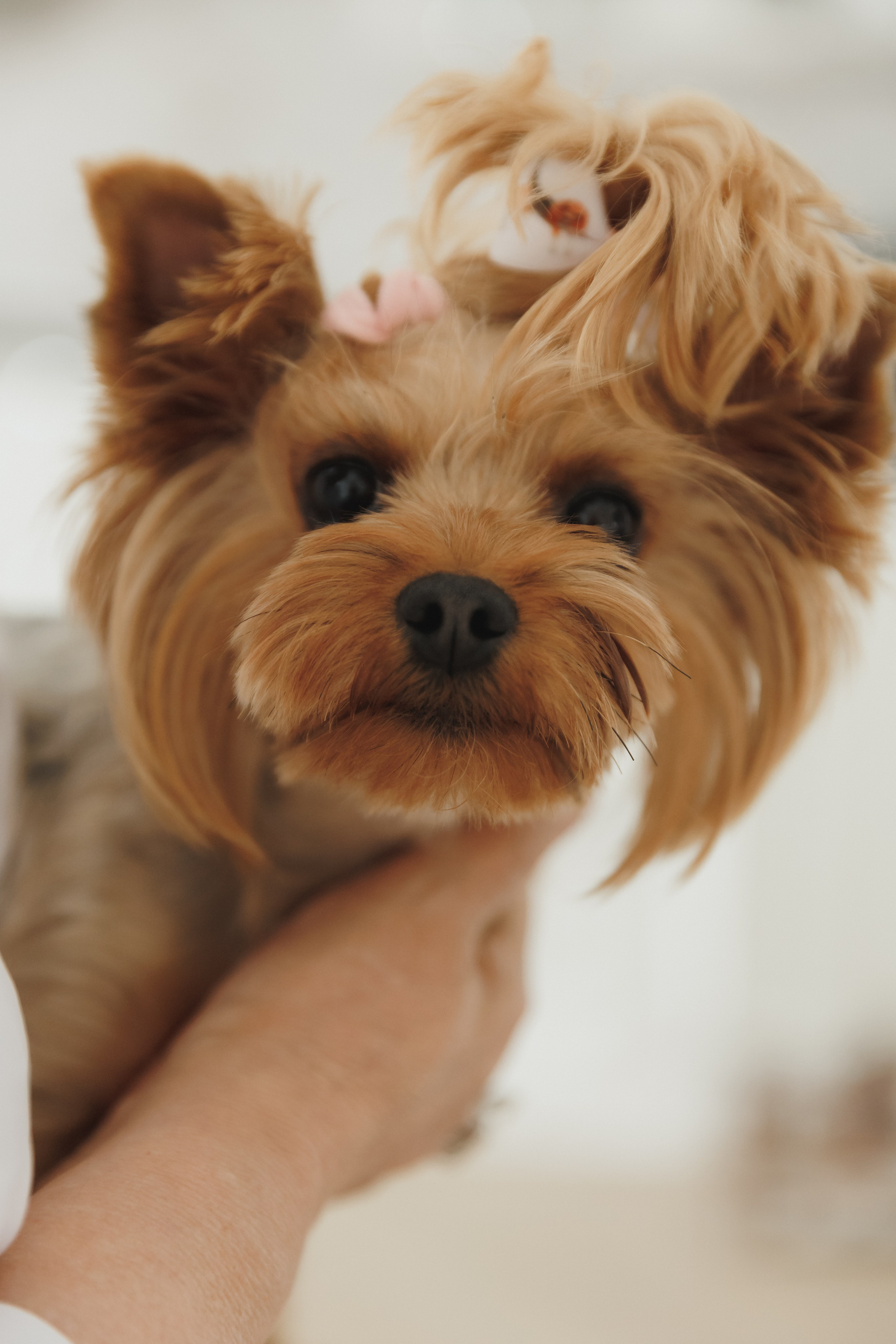 Девочки. Фотограф в Волгограде — Александра Искандерова