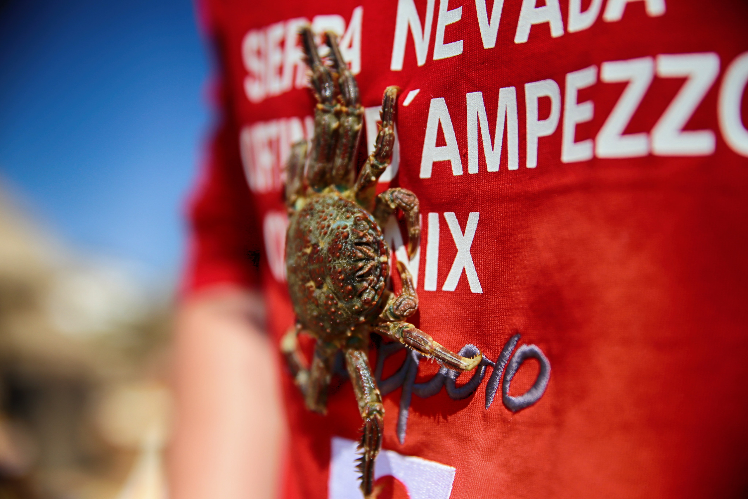 Моменты из жизни. Фотограф Василий Герасимов, Москва. Свадебная, репортажная фотосъемка