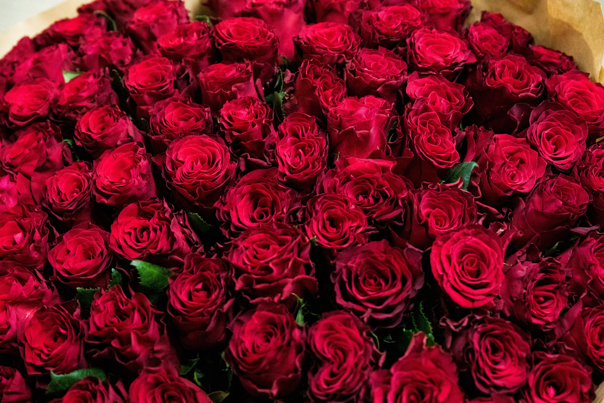 Simon's BD Party. Фотограф в Москве Яна Полосина