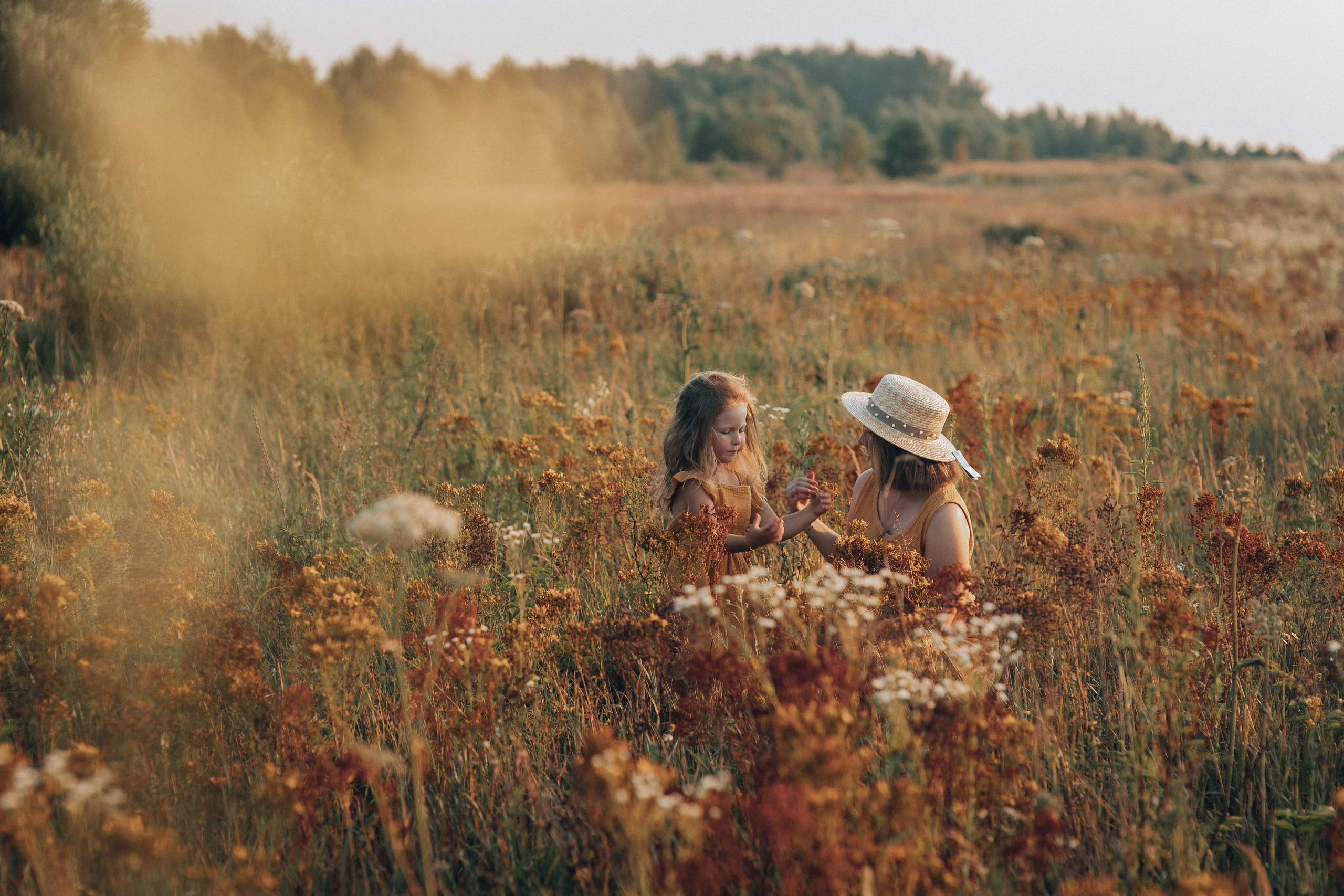 Съемка в поле горчичного цвета. Семейный фотограф в Москве Наталья Чуб, заказать Фотокнигу
