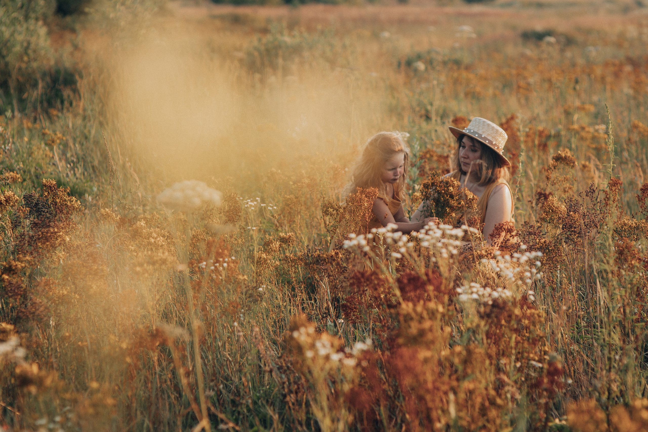 Съемка в поле горчичного цвета. Семейный фотограф в Москве Наталья Чуб, заказать Фотокнигу