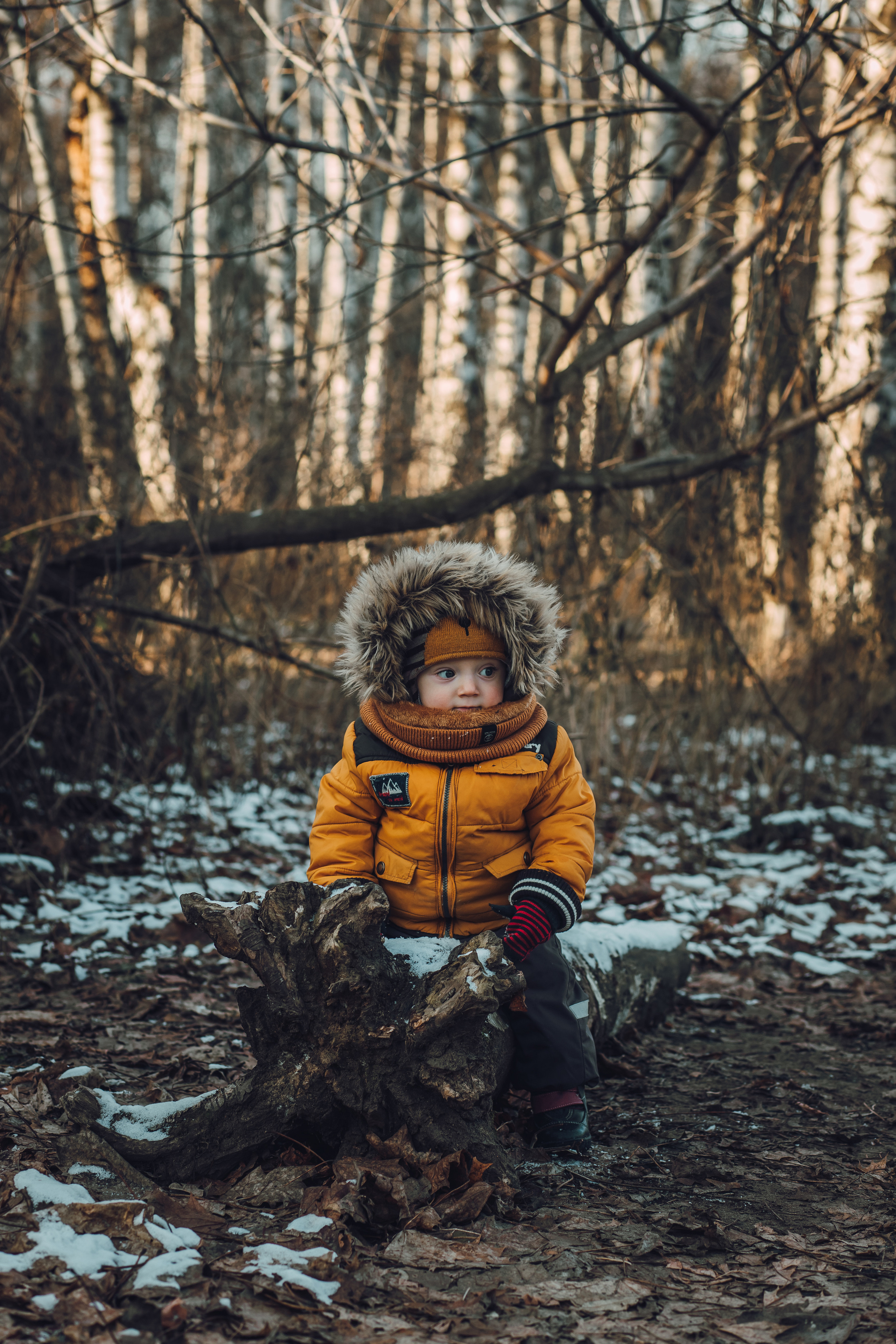 Детская фотосессия. Семейный фотограф в Москве Наталья Чуб, заказать Фотокнигу