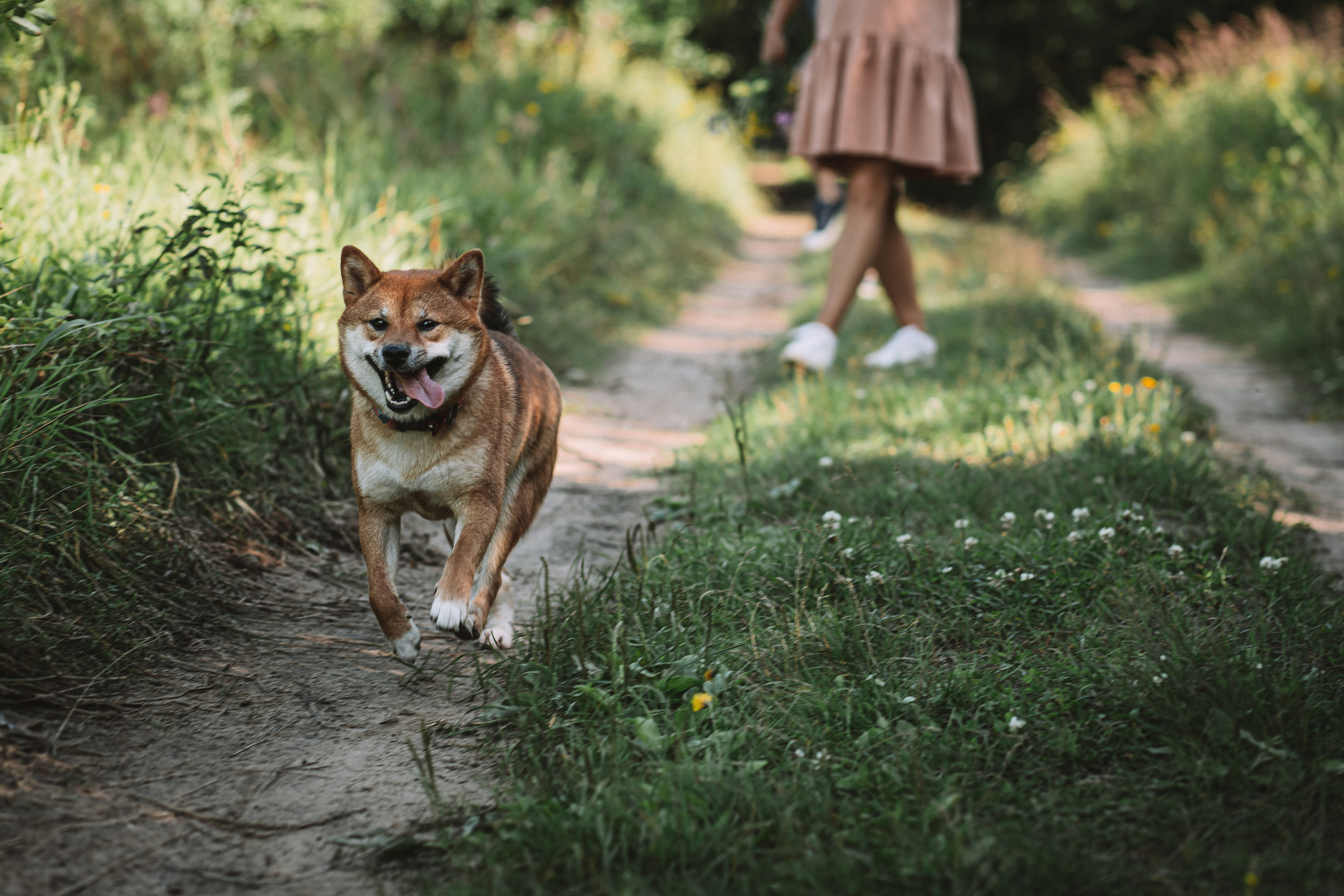 Съемка семейной пары с собакой. Семейный фотограф в Москве Наталья Чуб, заказать Фотокнигу