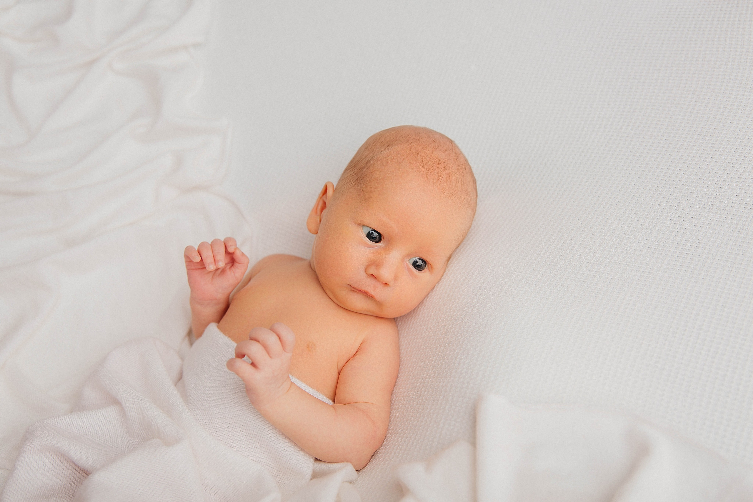 Лев. Фотограф новорожденных Тверь Диана Муляева