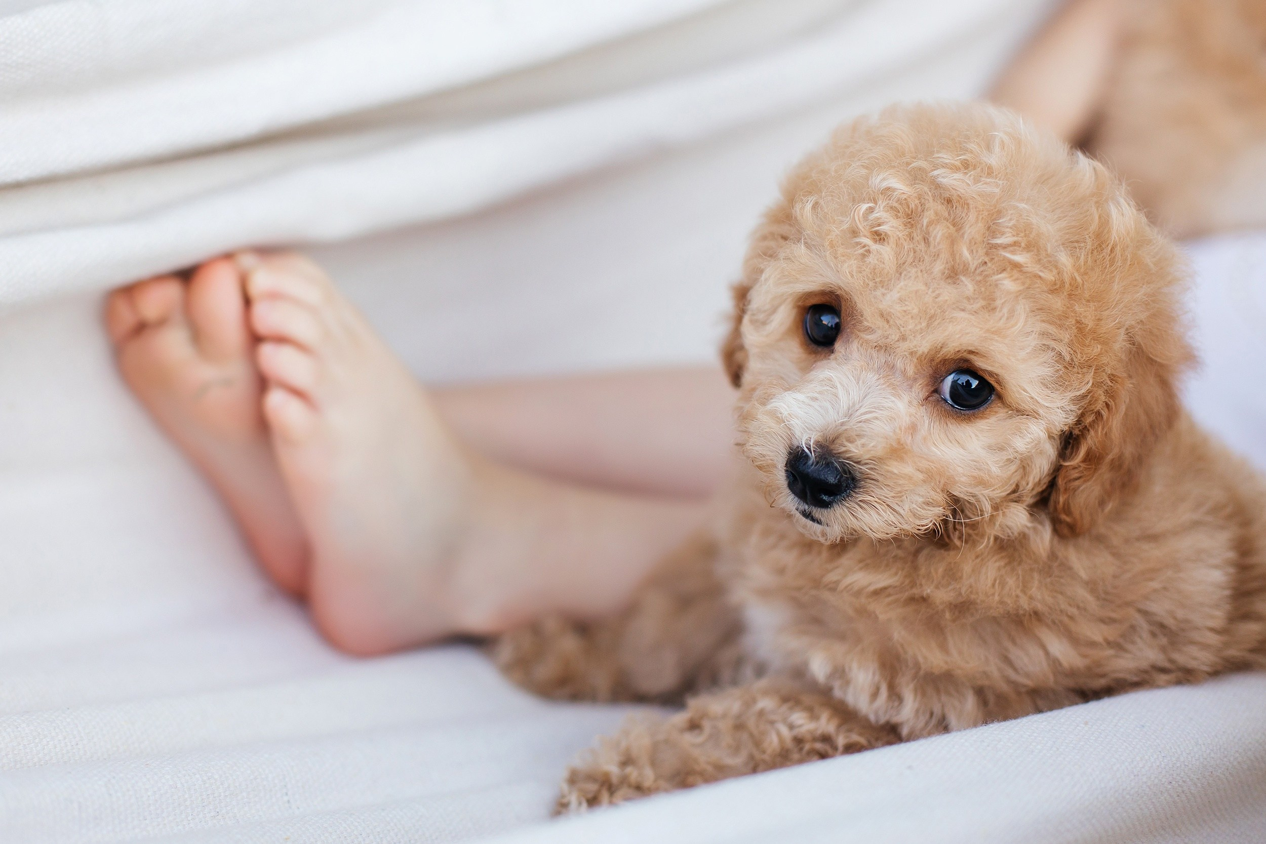 Фотопроект «Сад Лето». Свадебный фотограф, фотограф на крещение, фотограф на день рождения в Воронеже