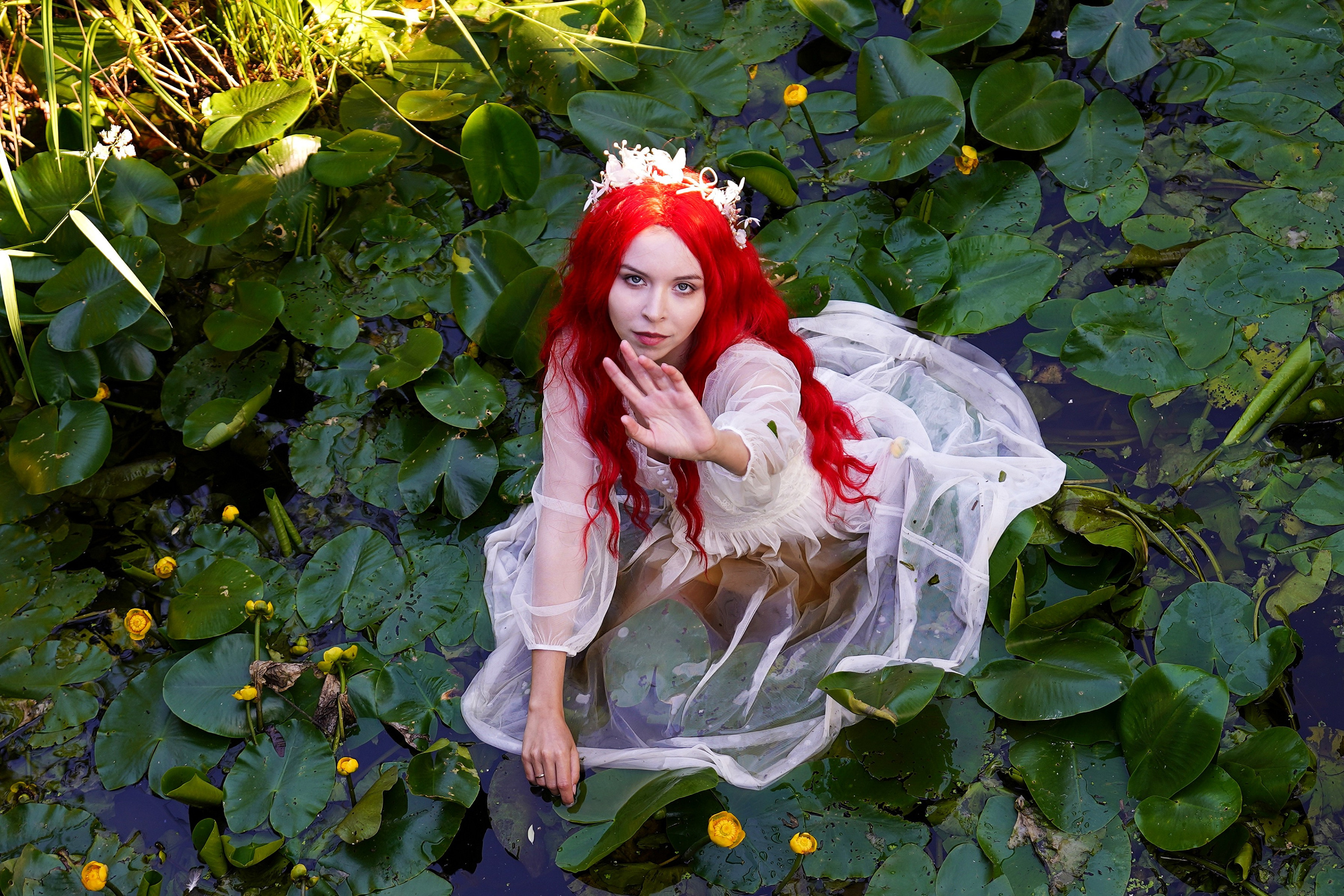 Русалки и водные лилии. Главная