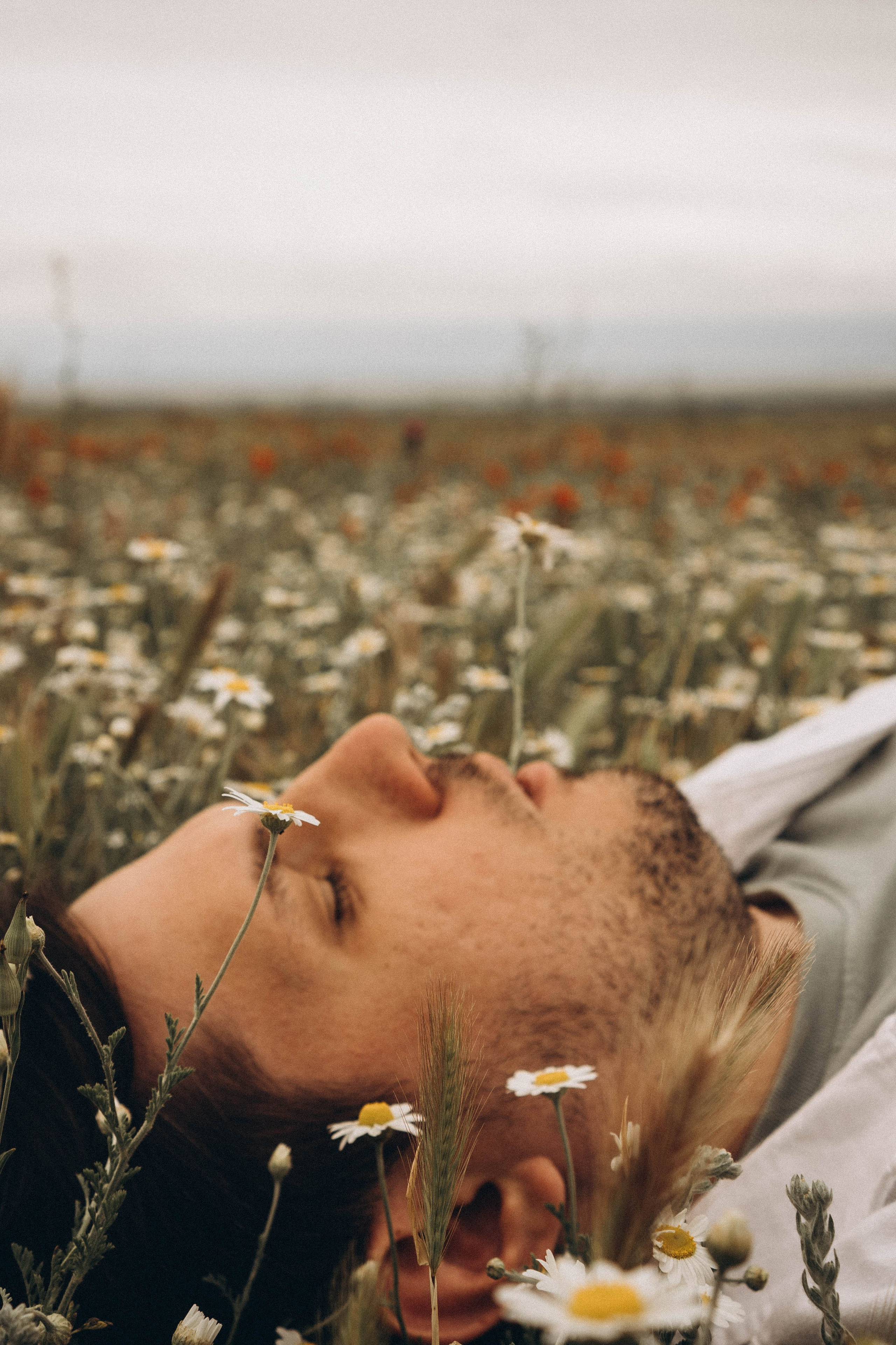 Маки. Профессиональный фотограф, Санкт-Петербург — Виктория Богомолова