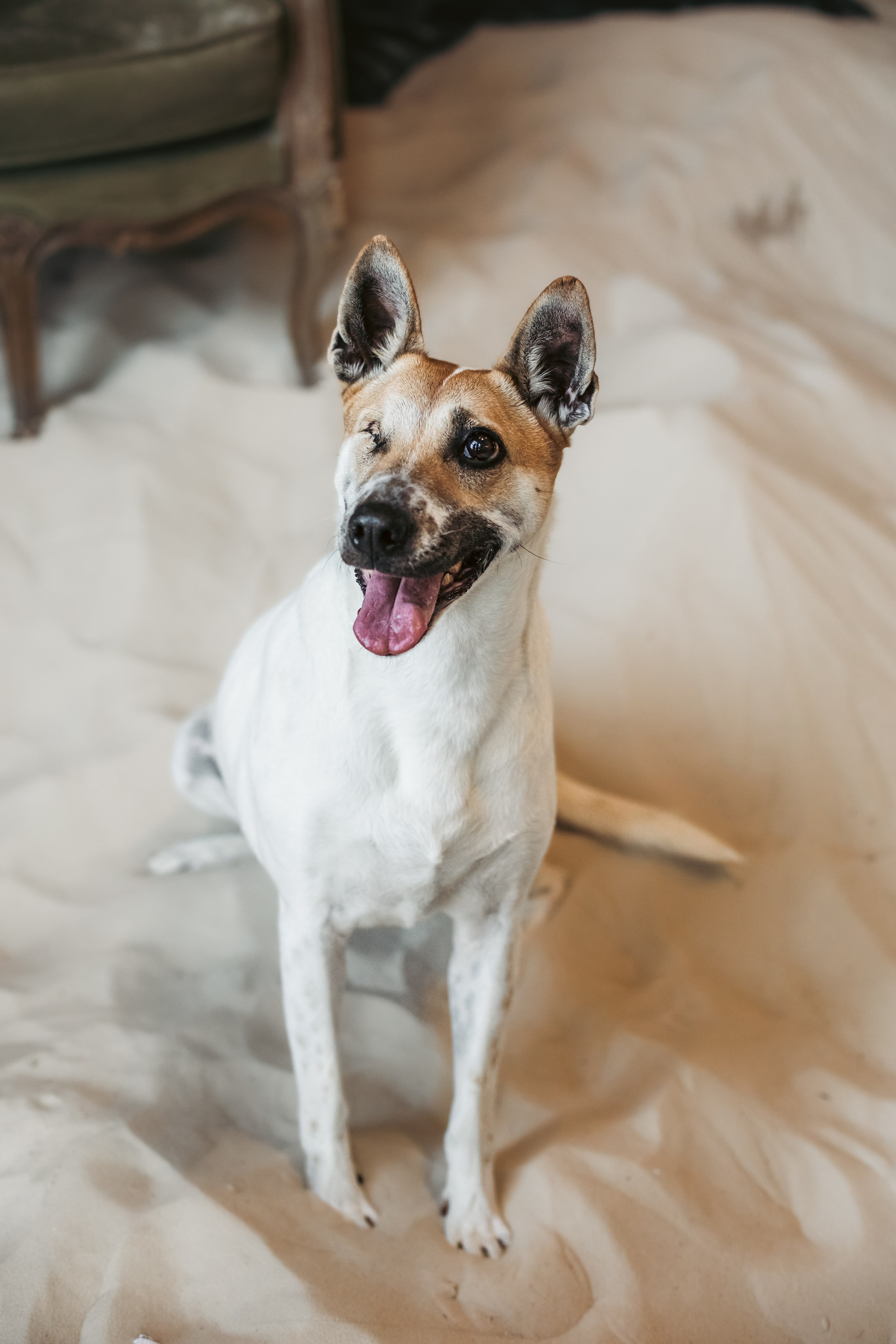 Полина и Альвильда. Фотограф-анималист Татьяна Степанова