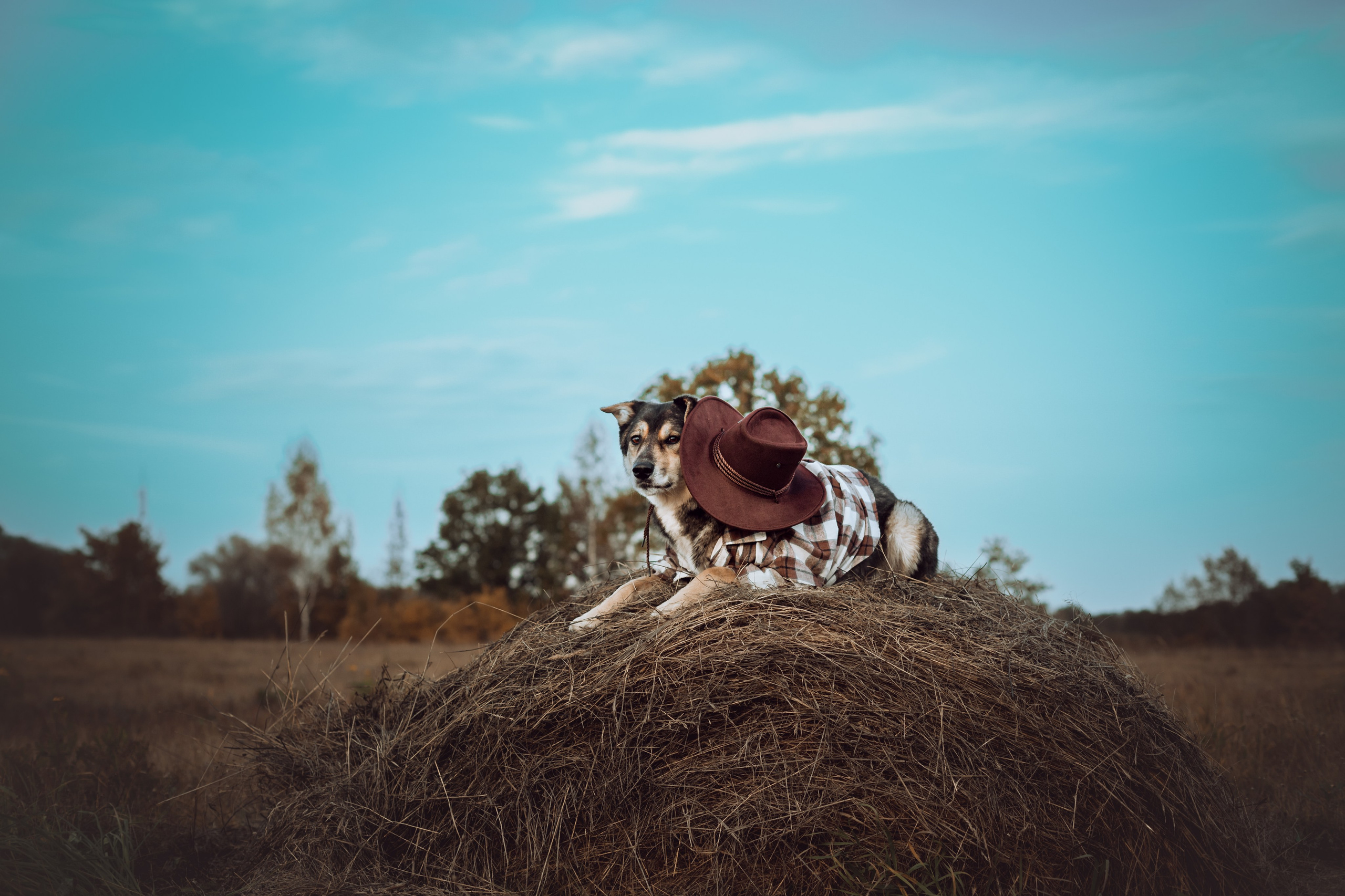 Кантри Дюк. Фотограф-анималист Татьяна Степанова
