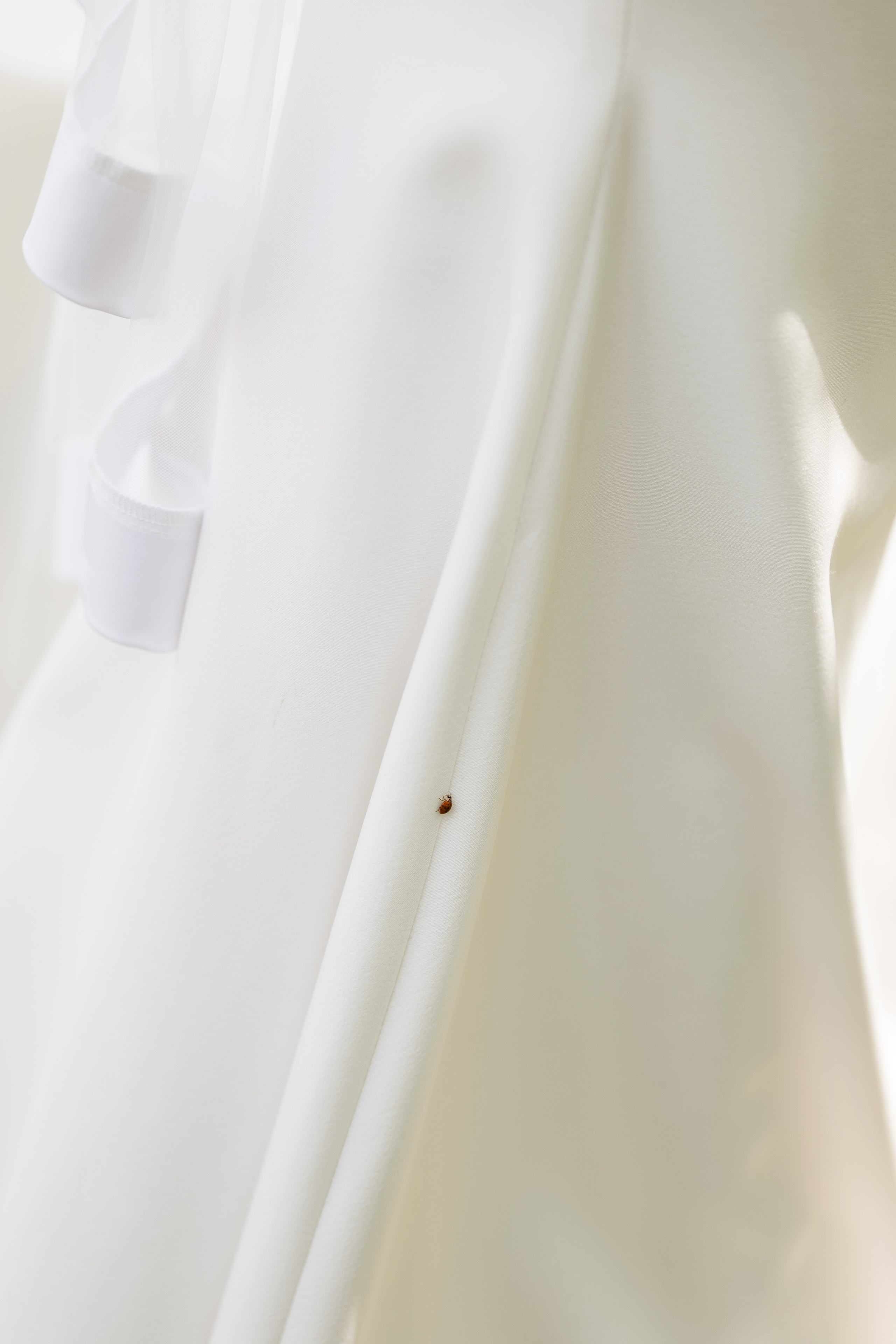 Расул и Зухра. Свадебный и семейный фотограф | SVET.photo