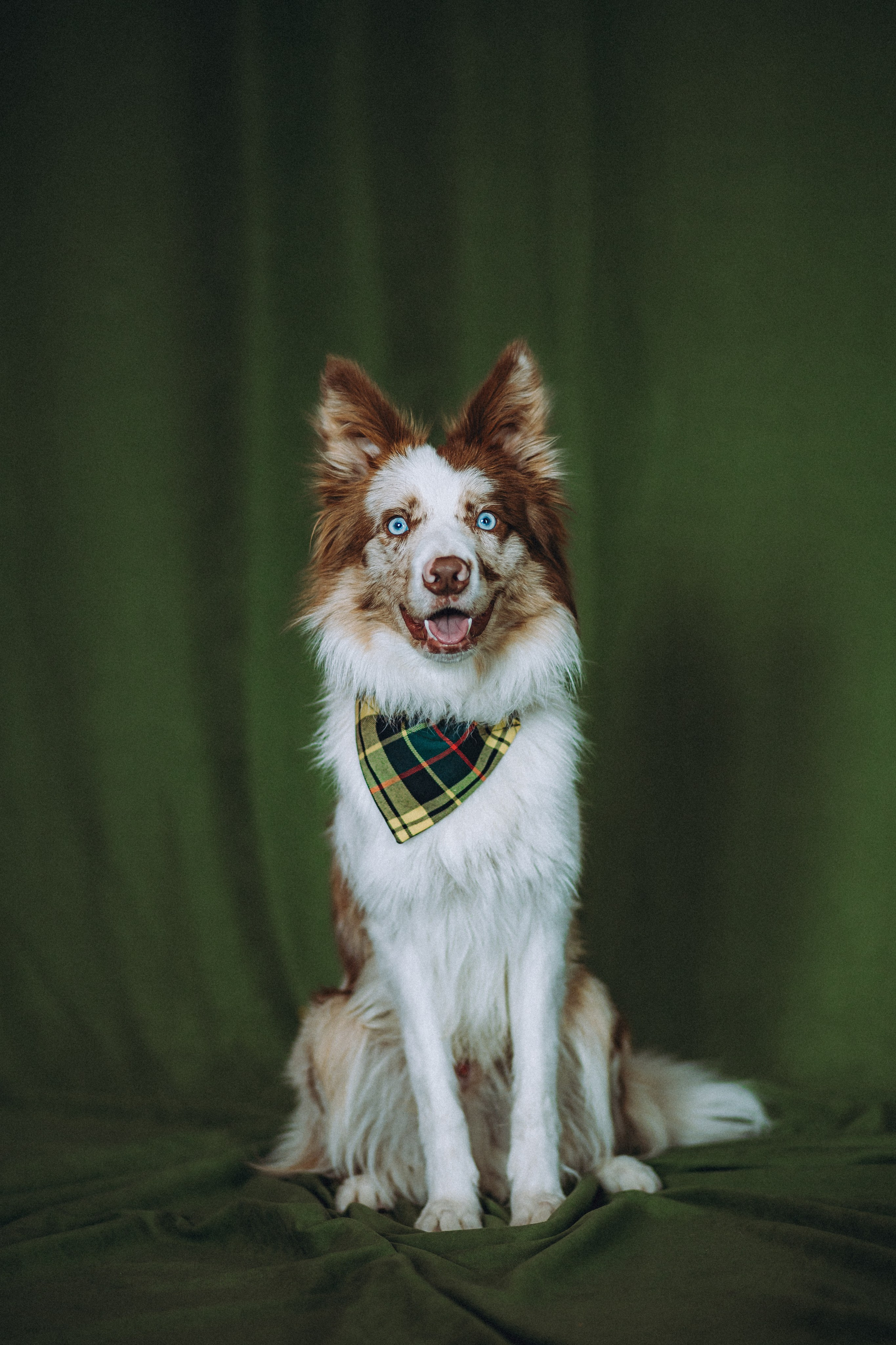 День рождения Айко