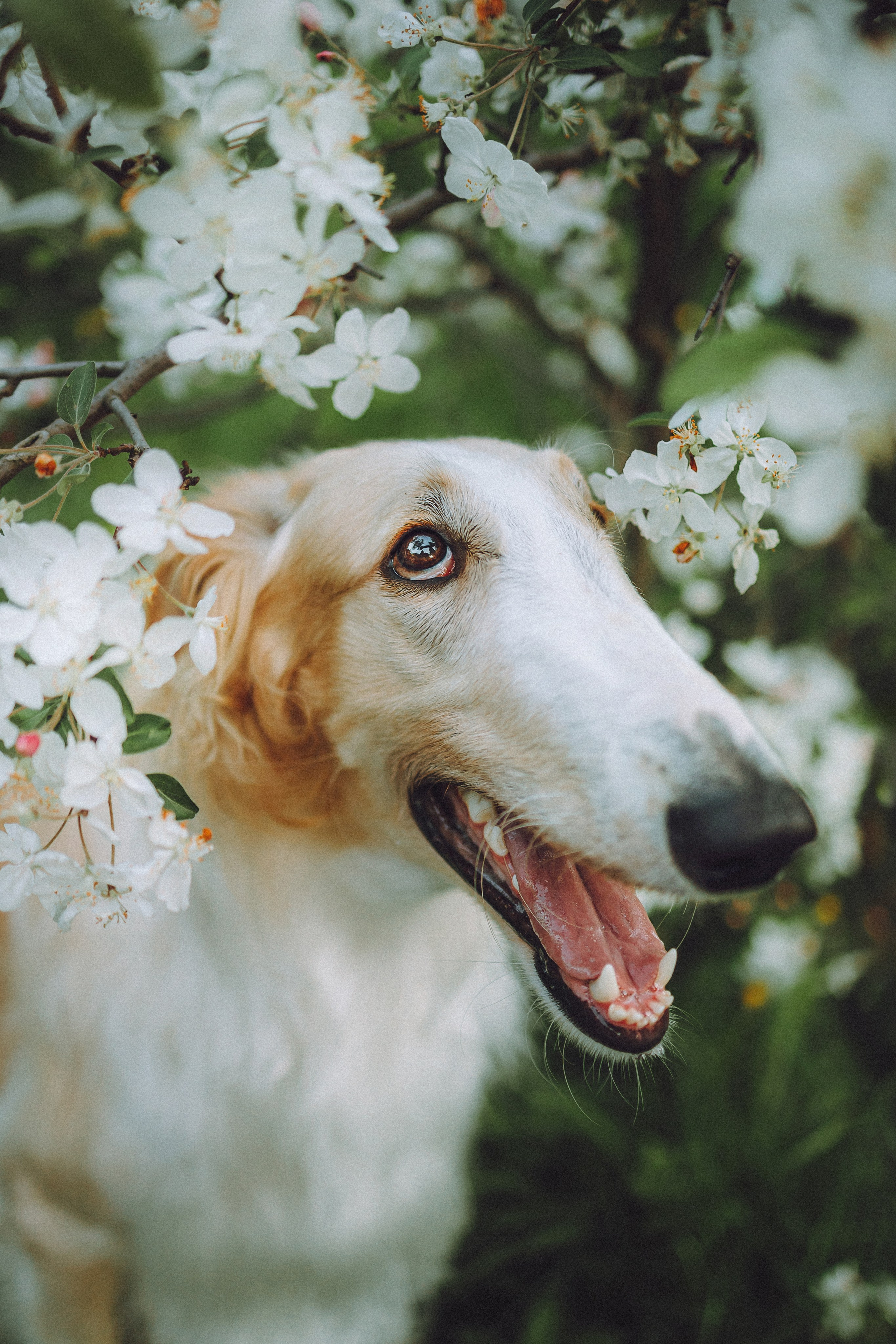 Илай, Зайка и их семья