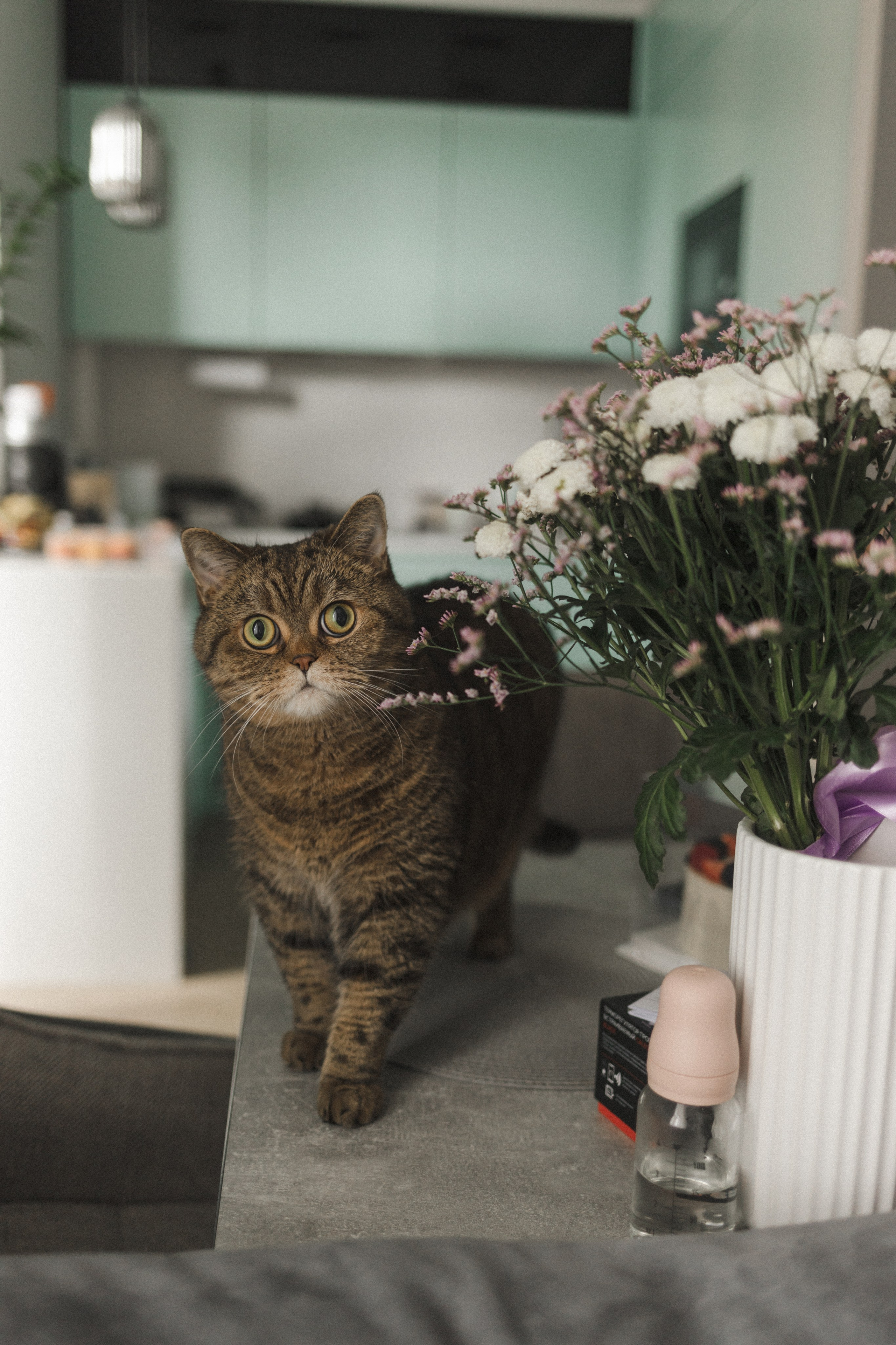 Самый первый месяц жизни. Семейный фотограф в Москве