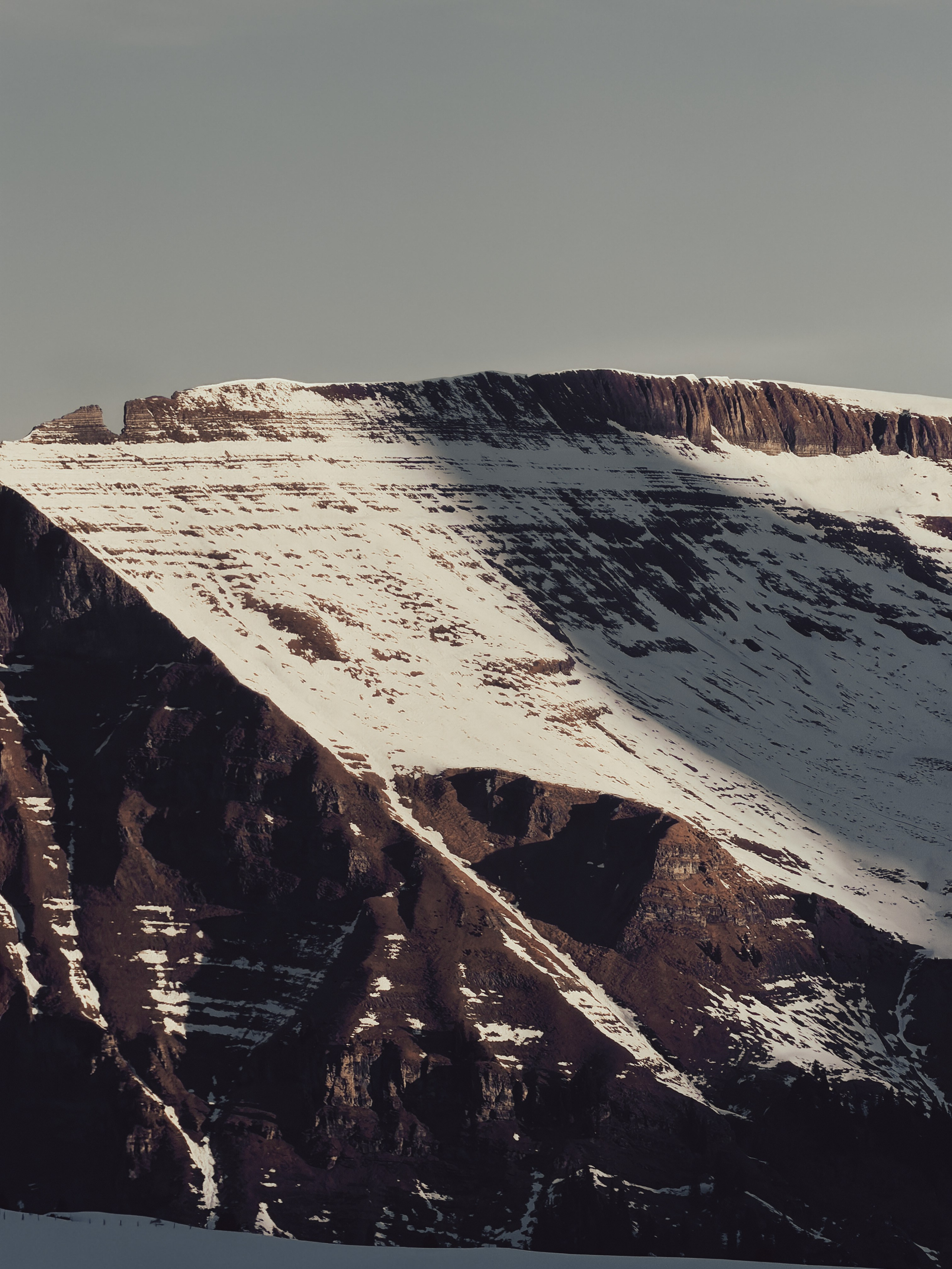 Grindelwald. Фотограф в Москве