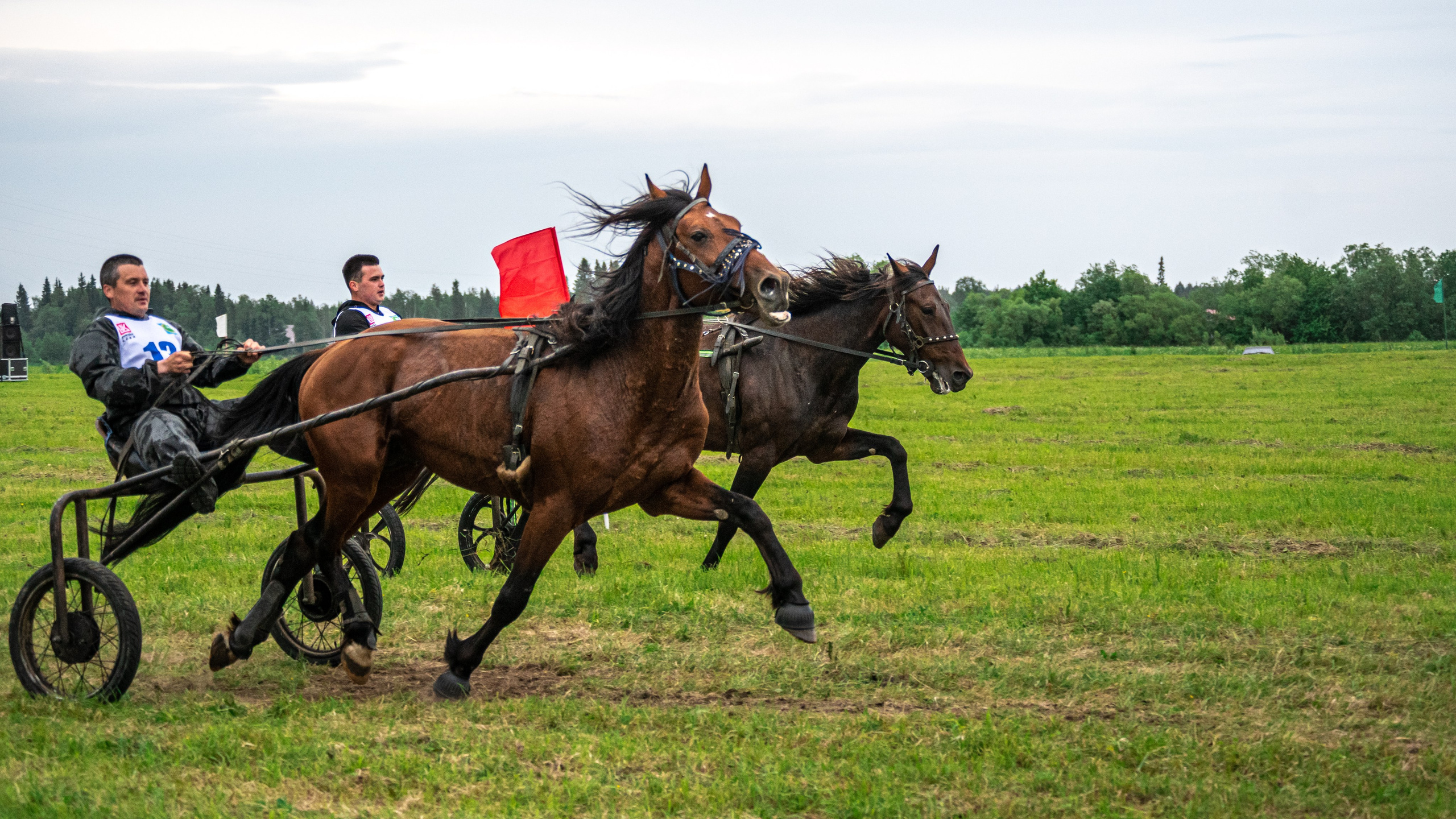 Луд 2023. Фотограф в с. Ижма Республика Коми Терентьев Сергей