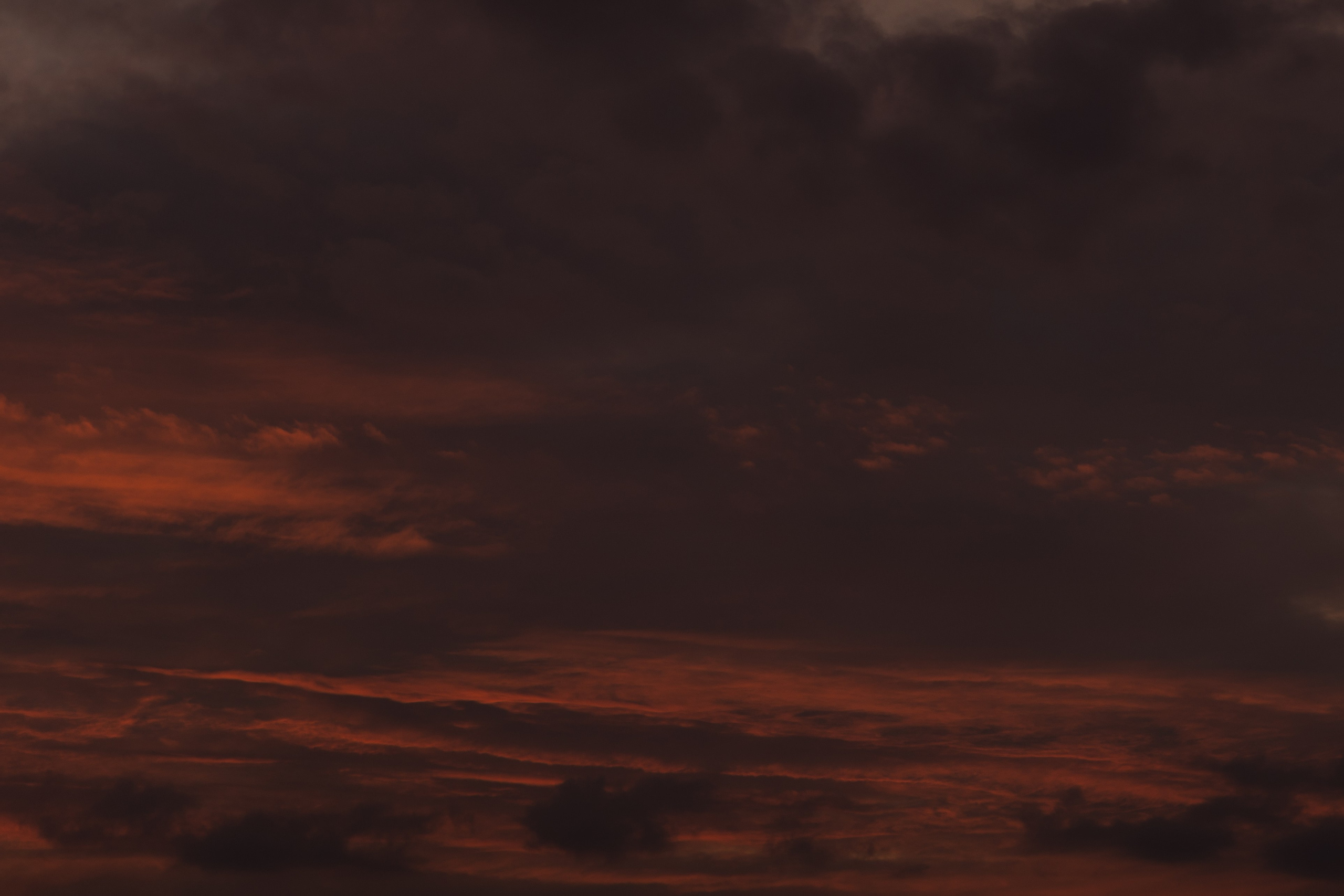 Wedding. Главная