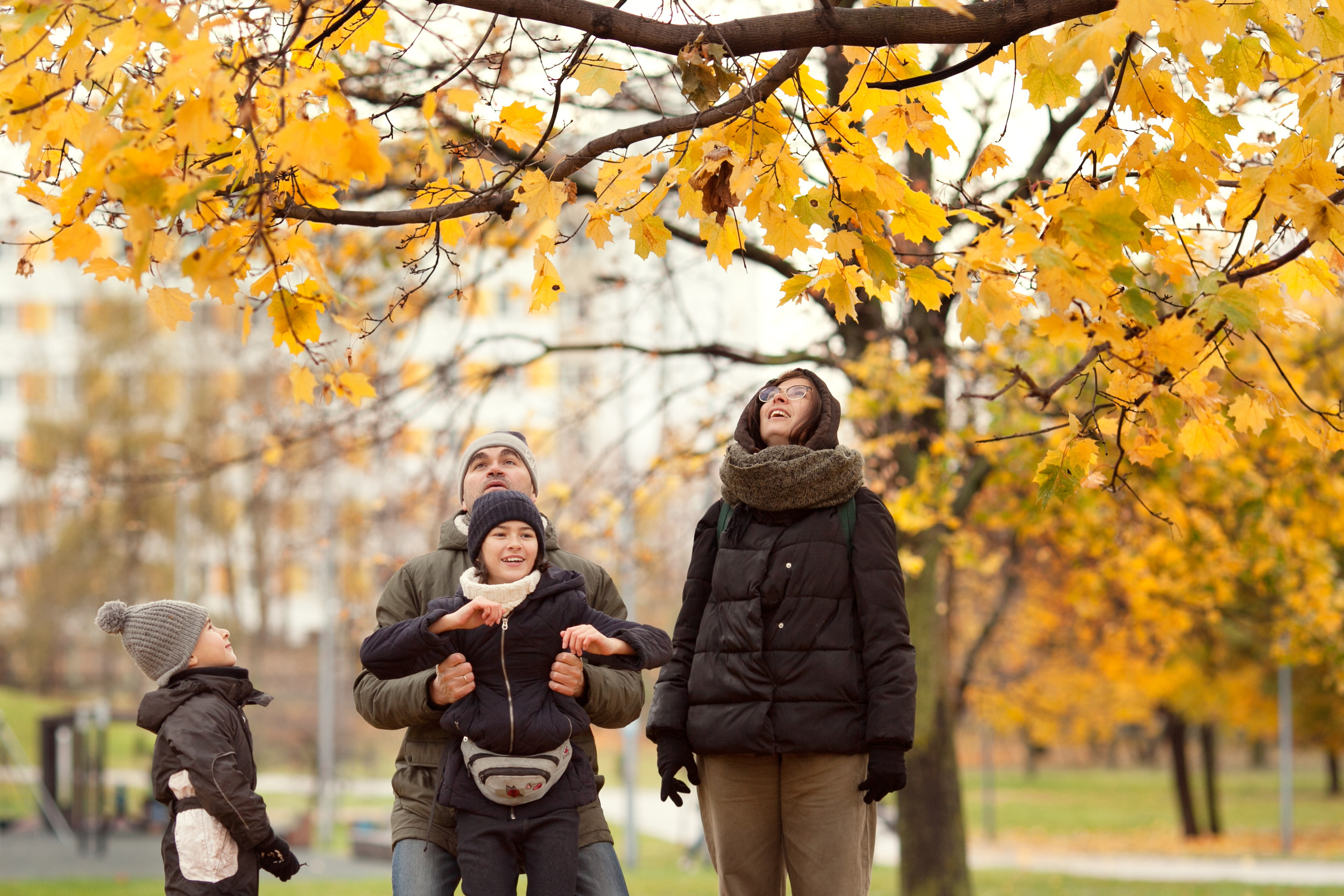 Семьи. Детский и семейный фотограф в Москве и московской области Елена Титова
