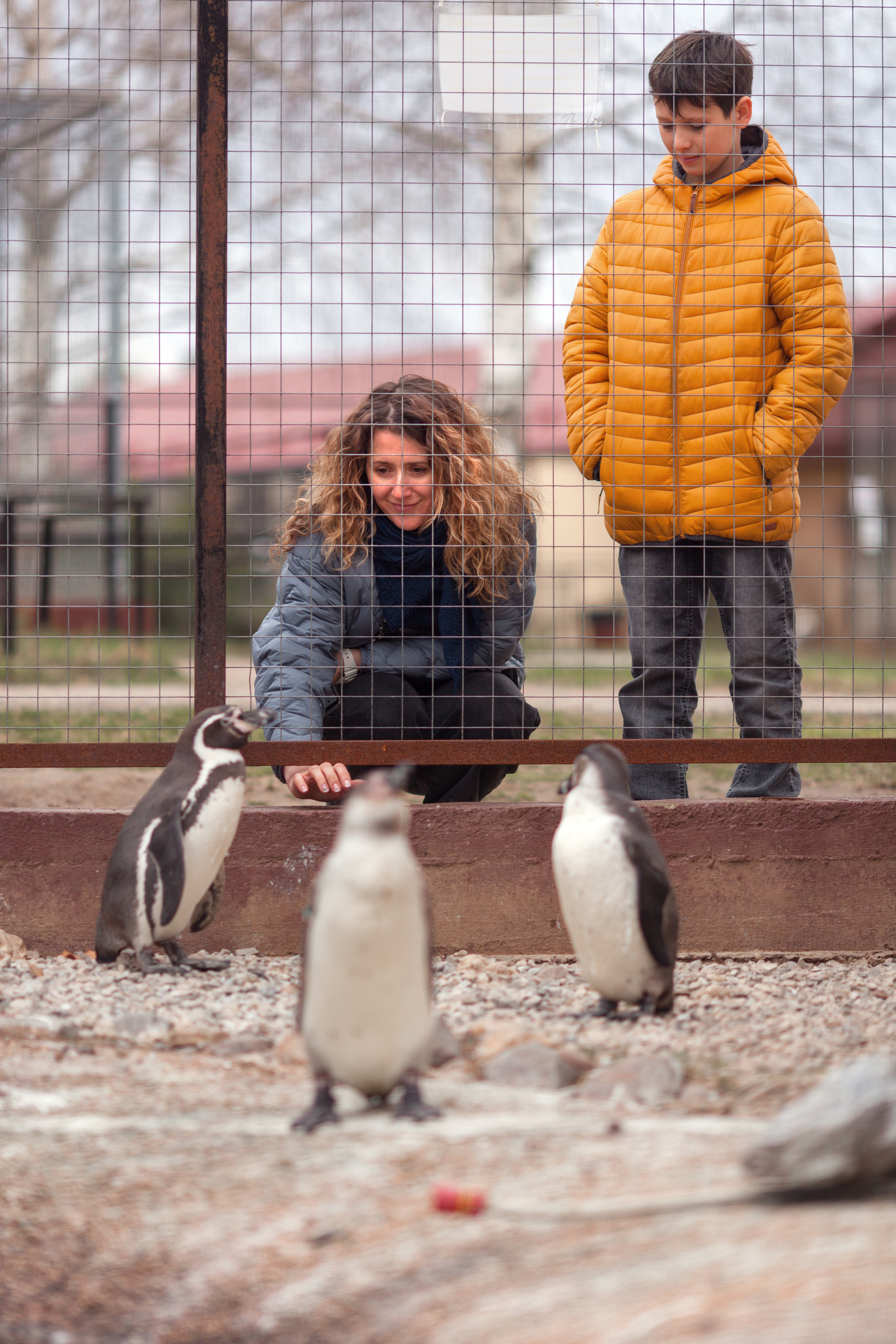 Алла, Гордей и Амелия. Парк Птиц. Детский и семейный фотограф в Москве и московской области Елена Титова